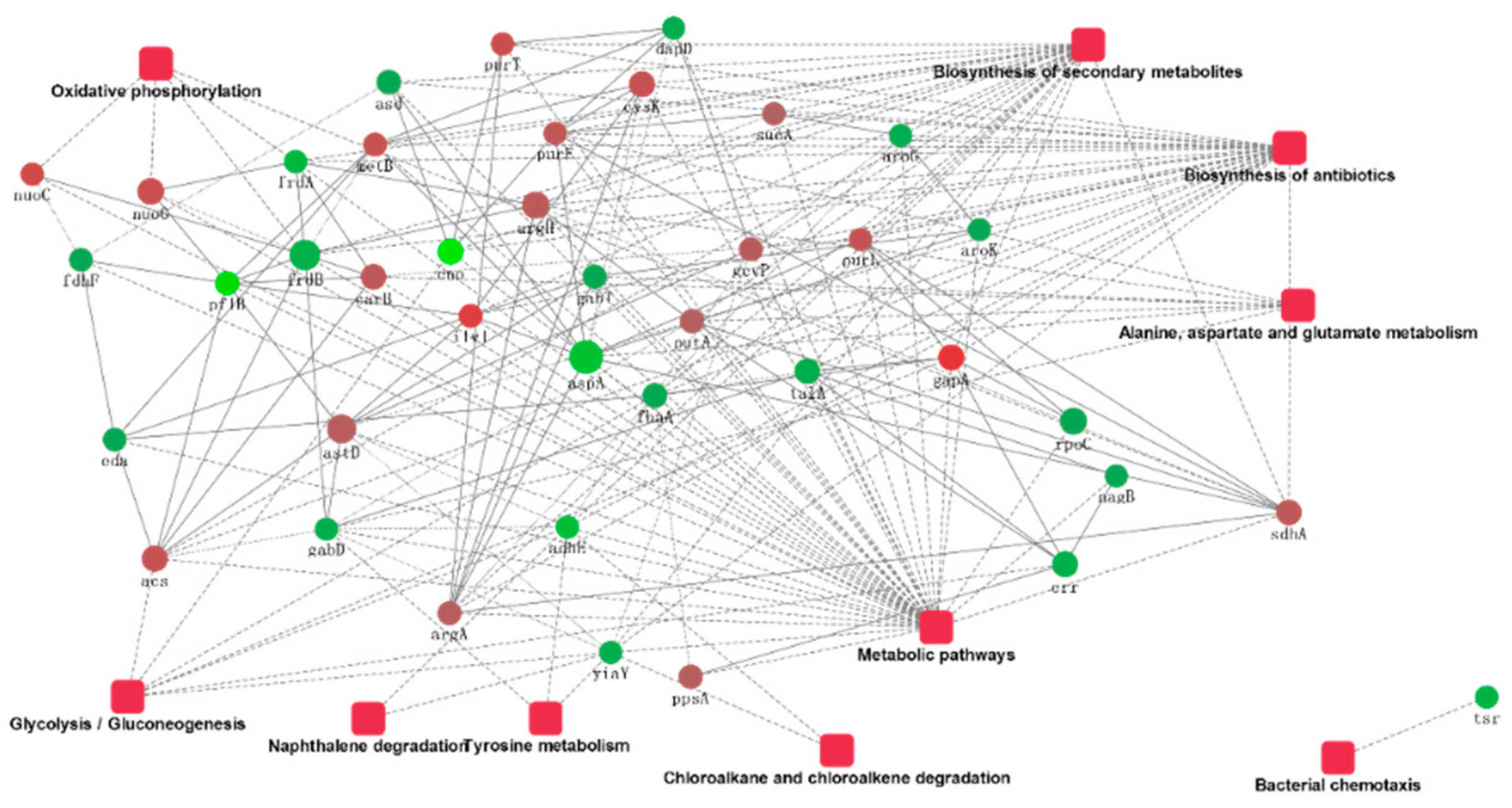 Ijms 21 01450 g006 Ijms 21 01450 g006