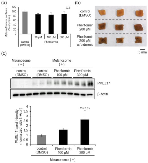 https://www.mdpi.com/ijms/ijms-21-01451/article_deploy/html/images/ijms-21-01451-g002-550.jpg