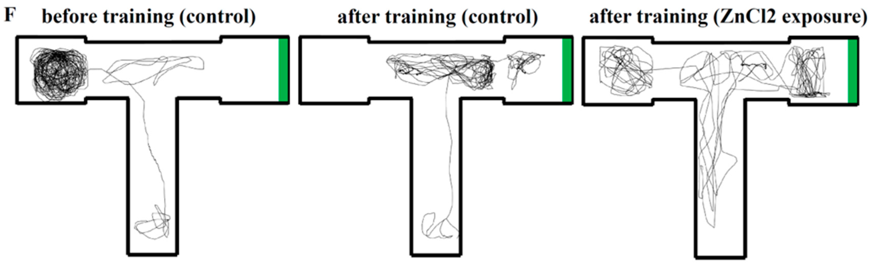 Ijms 21 01464 g004b Ijms 21 01464 g004b