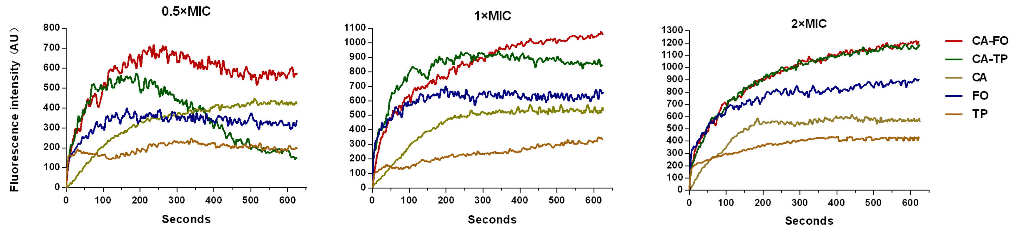 Ijms 21 01470 g006 Ijms 21 01470 g006