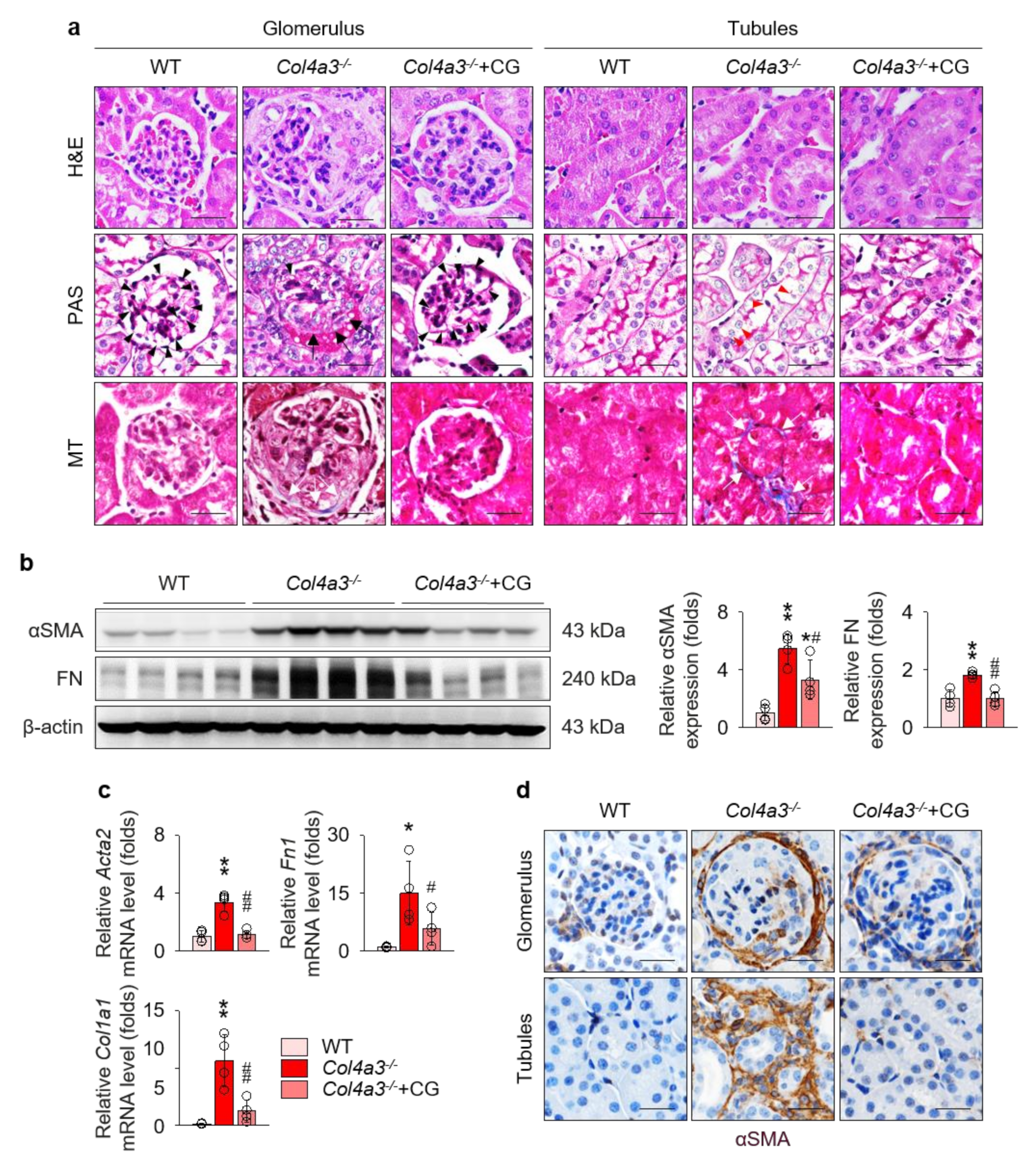Ijms 21 01473 g002 Ijms 21 01473 g002