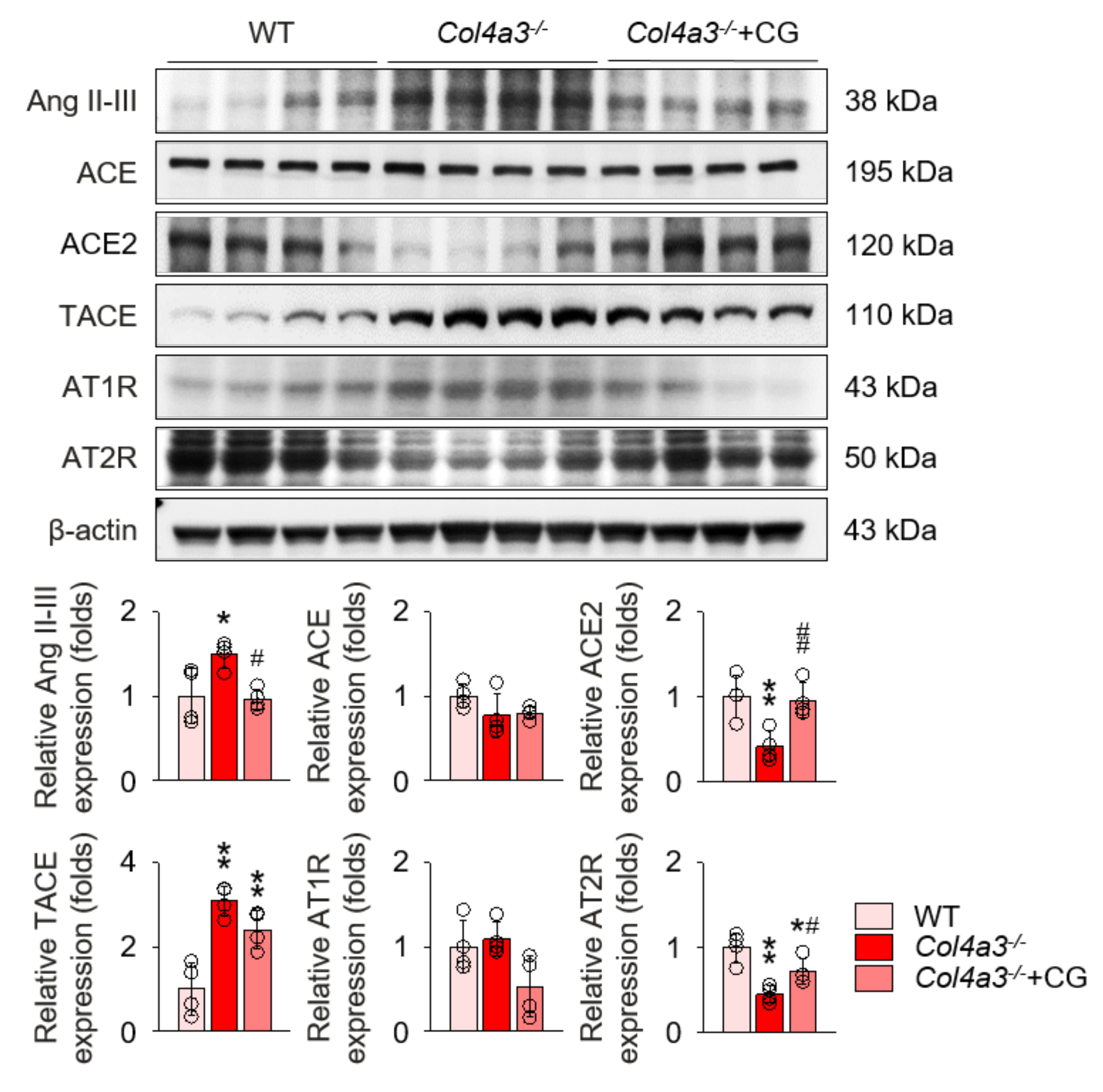 Ijms 21 01473 g004 Ijms 21 01473 g004