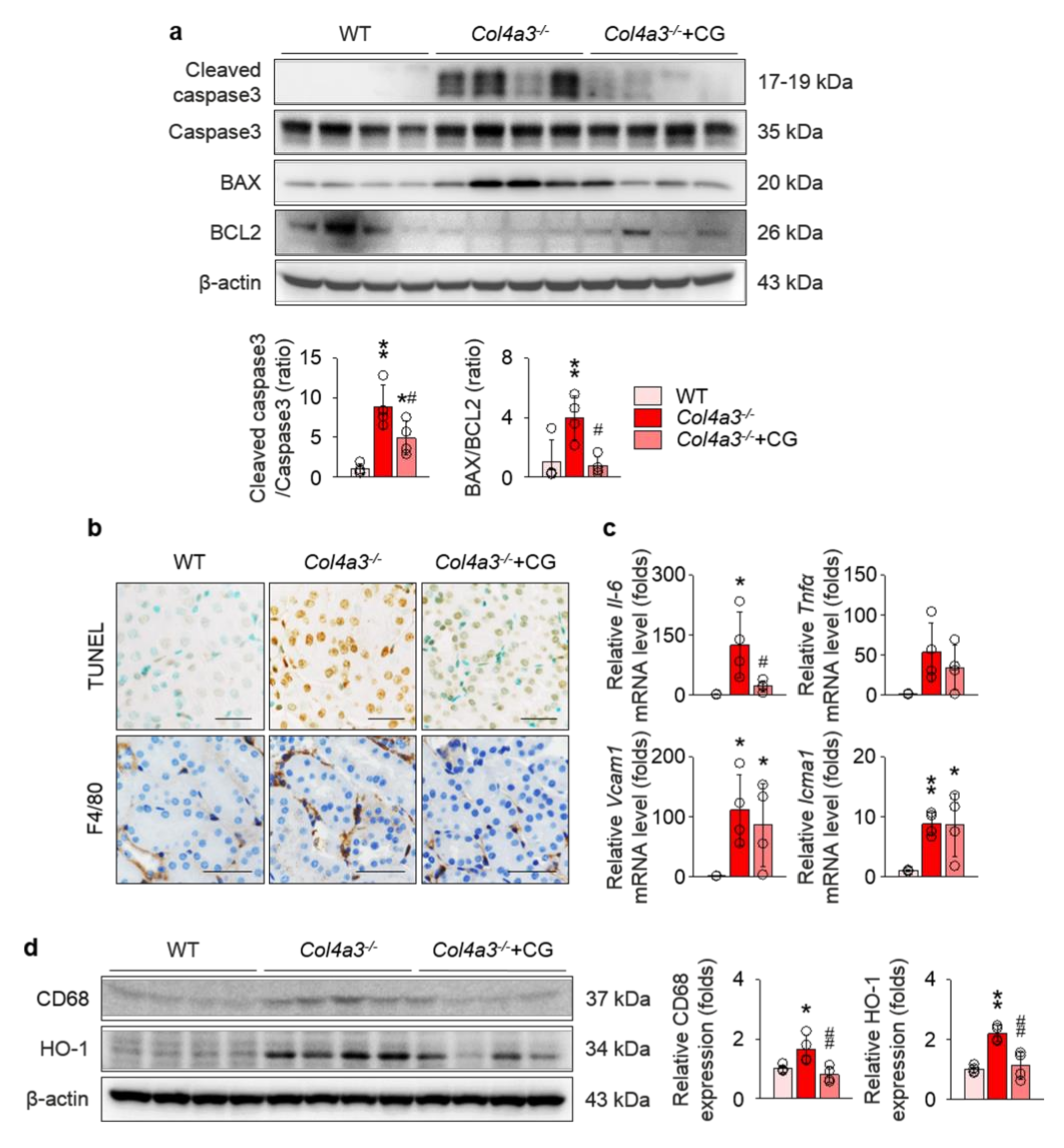 Ijms 21 01473 g006 Ijms 21 01473 g006