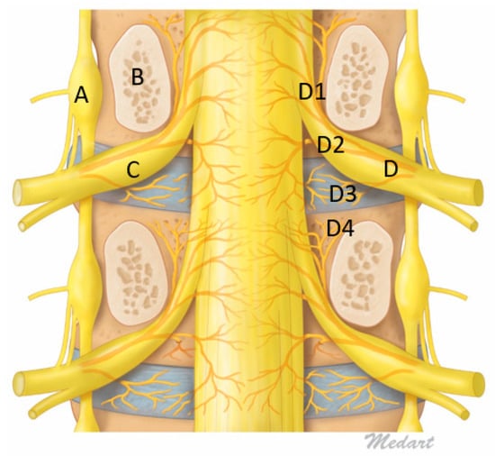 https://www.mdpi.com/ijms/ijms-21-01483/article_deploy/html/images/ijms-21-01483-g002-550.jpg