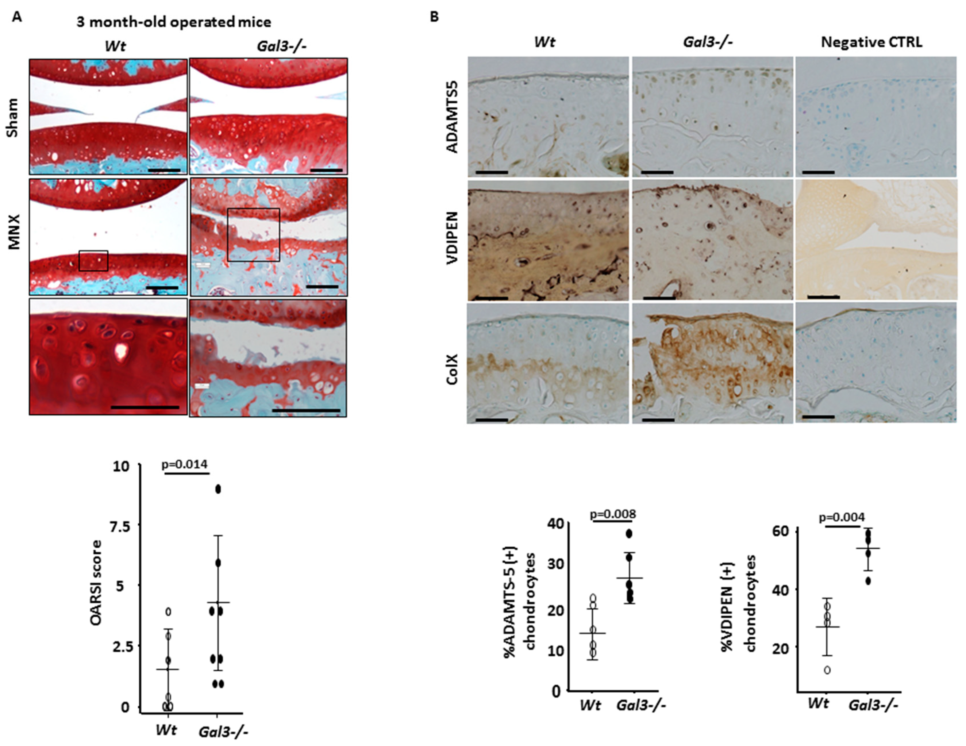 Ijms 21 01486 g002 Ijms 21 01486 g002