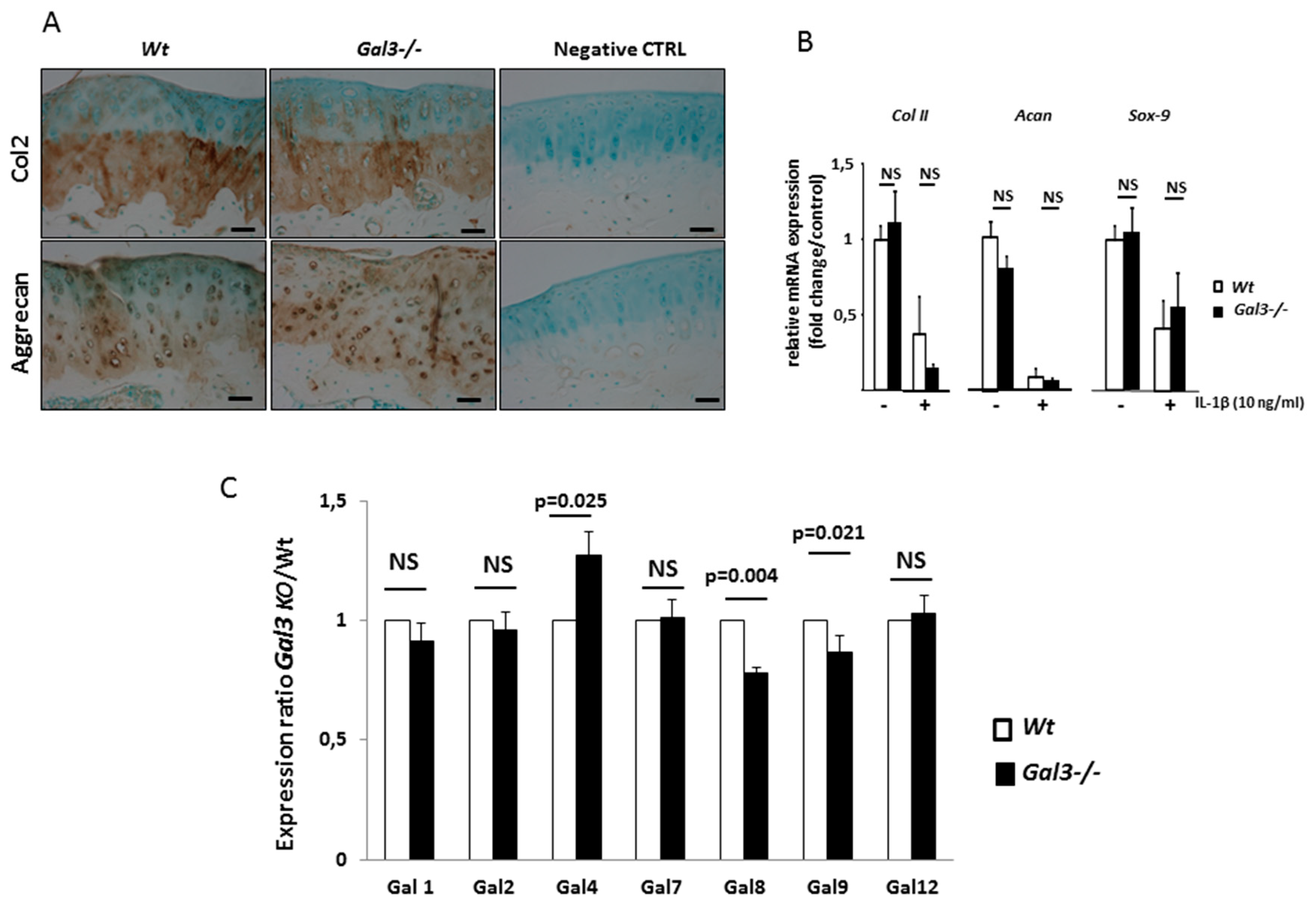 Ijms 21 01486 g004 Ijms 21 01486 g004