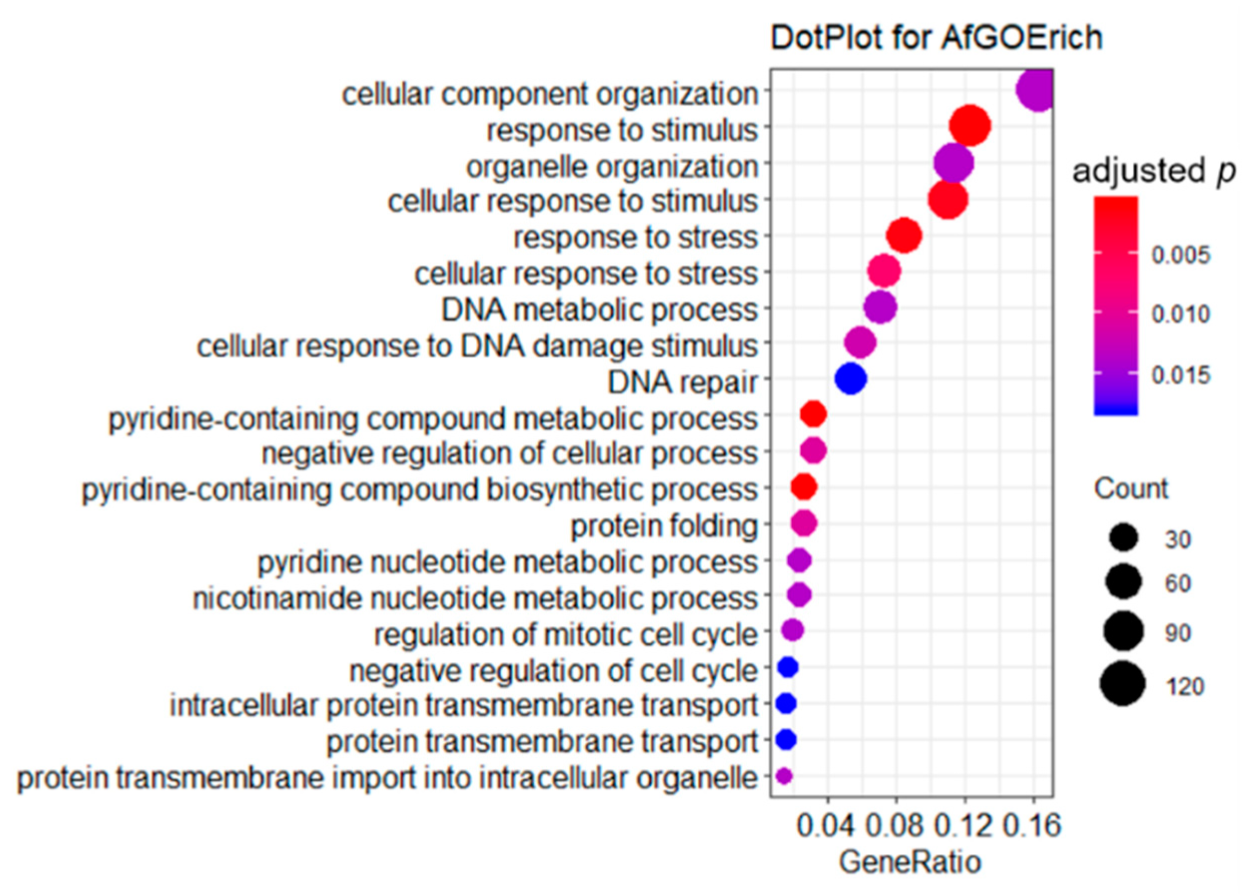 Ijms 21 01518 g004 Ijms 21 01518 g004