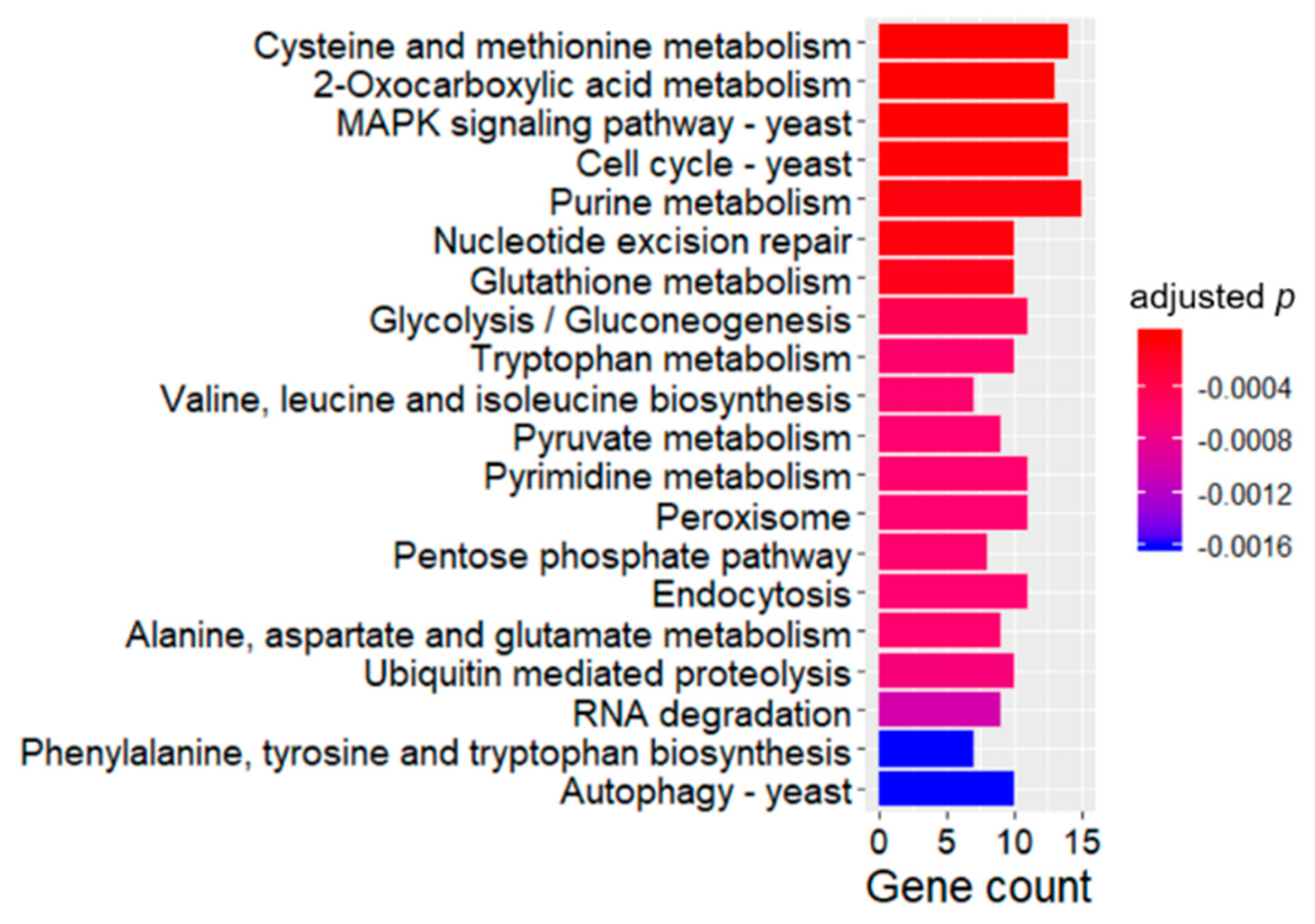 Ijms 21 01518 g006 Ijms 21 01518 g006