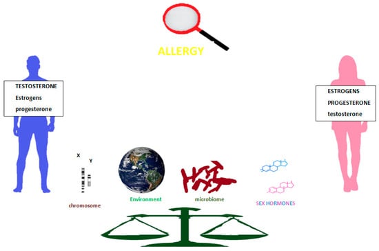 Ijms Free Full Text Sex And Gender Aspects For Patient Stratification In Allergy Prevention
