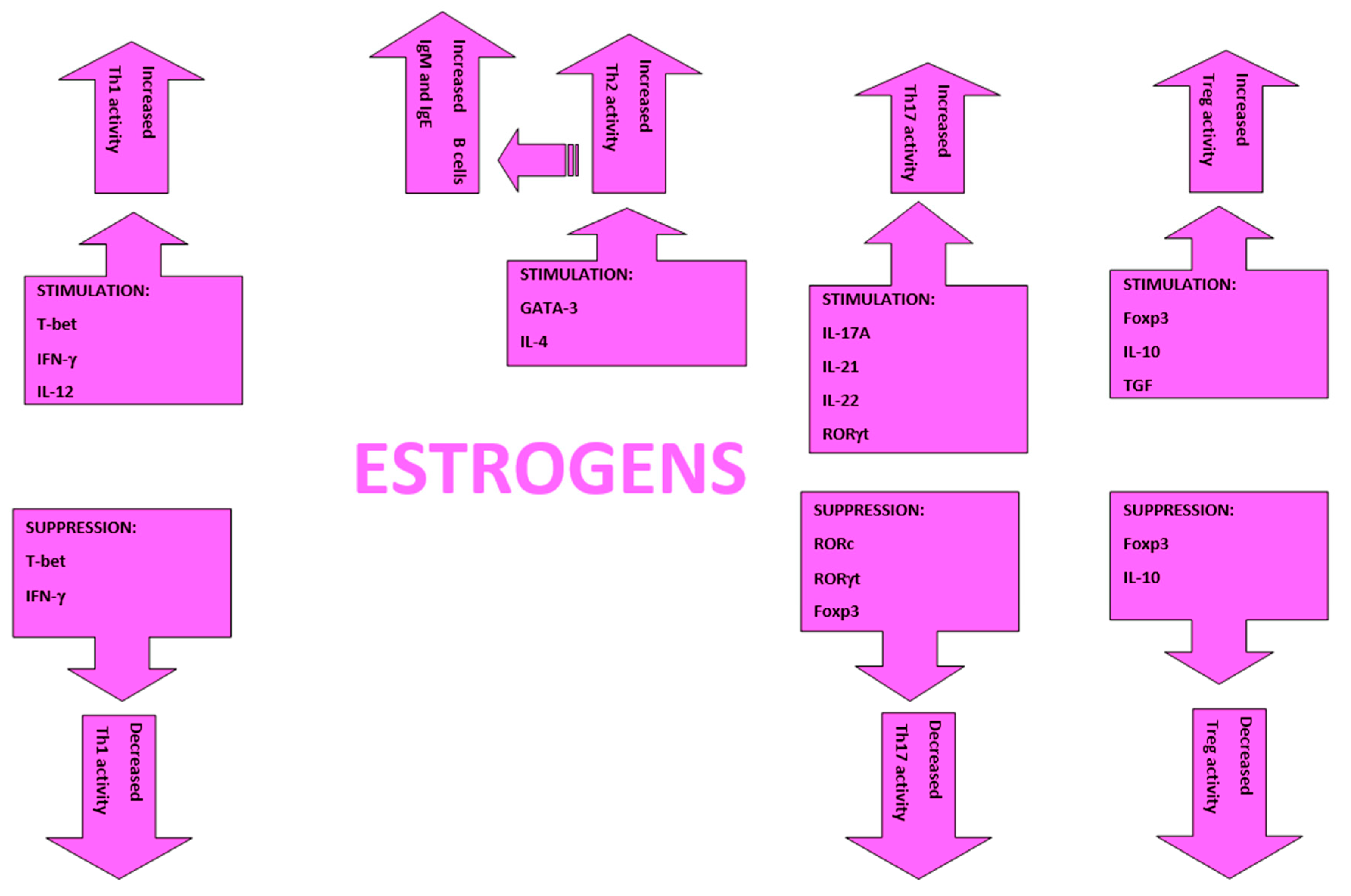 Ijms Free Full Text Sex And Gender Aspects For Patient Stratification In Allergy Prevention 3460