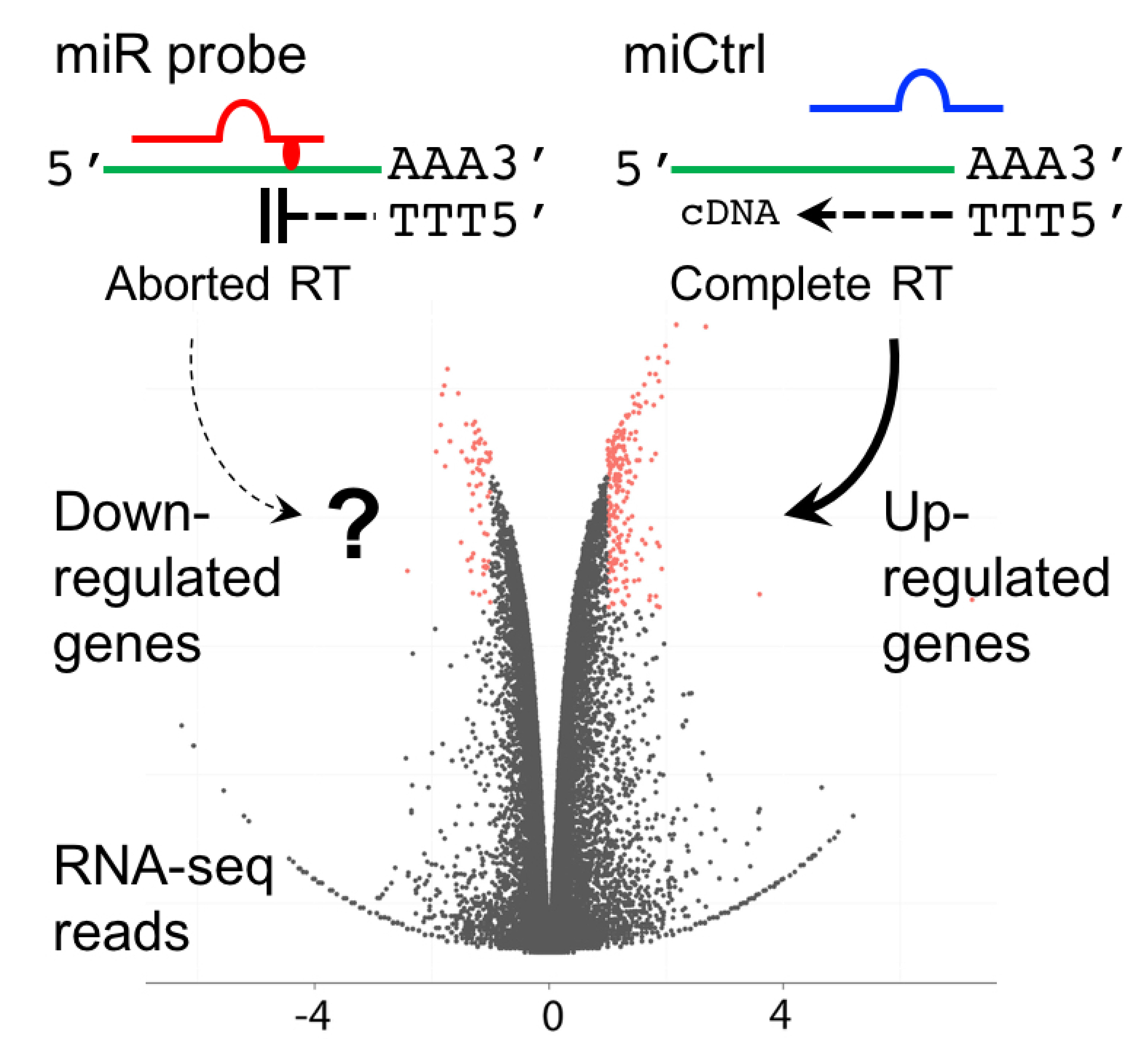 Ijms Free Full Text Analysis And Identification Of Tumorigenic Targets Of Microrna In Cancer