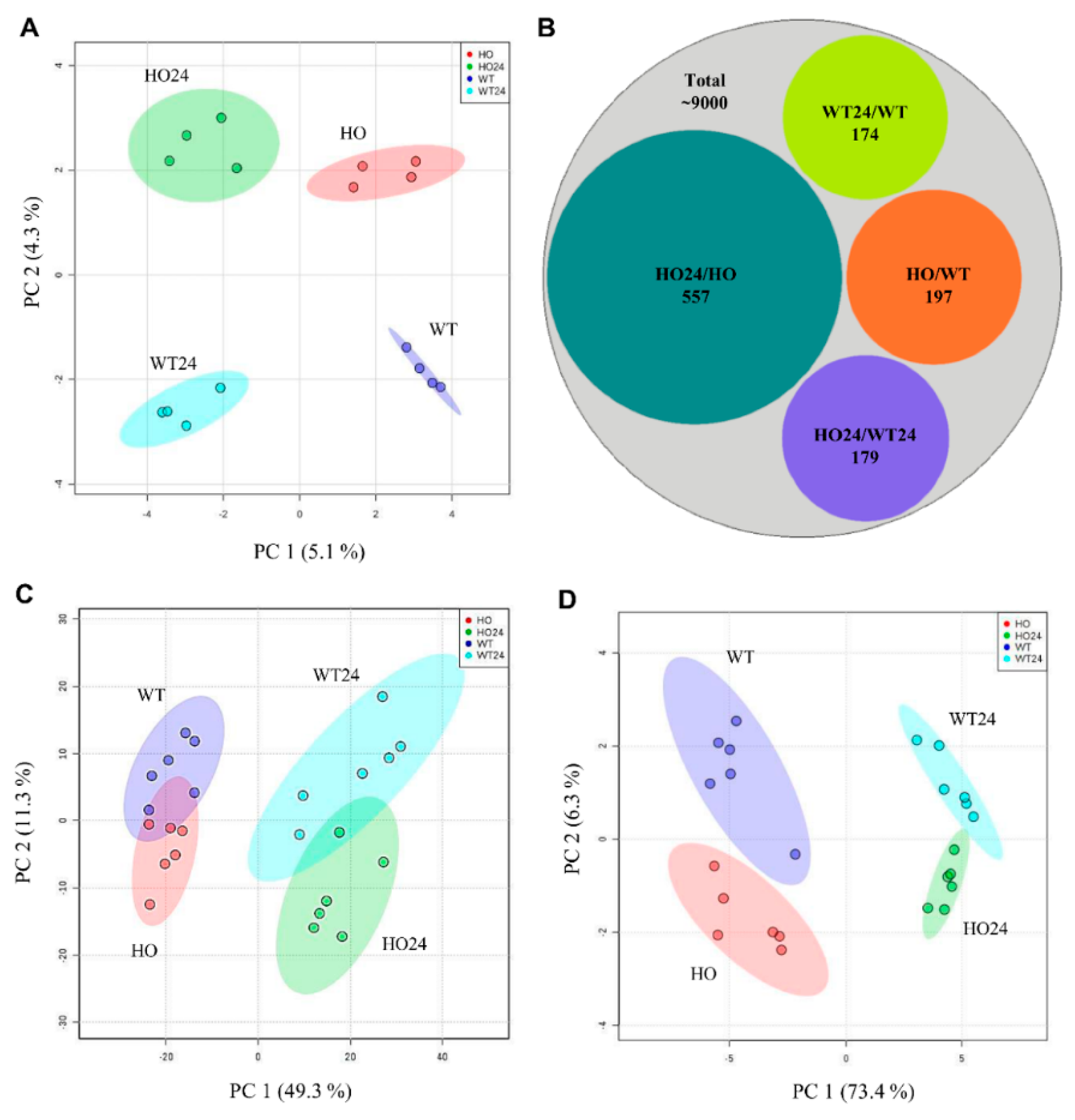 Proteome Analysis of Metabolic Proteins (pI 4–7) in Barley (Hordeum  vulgare) Malts and Initial Application in Malt Quality Discrimination