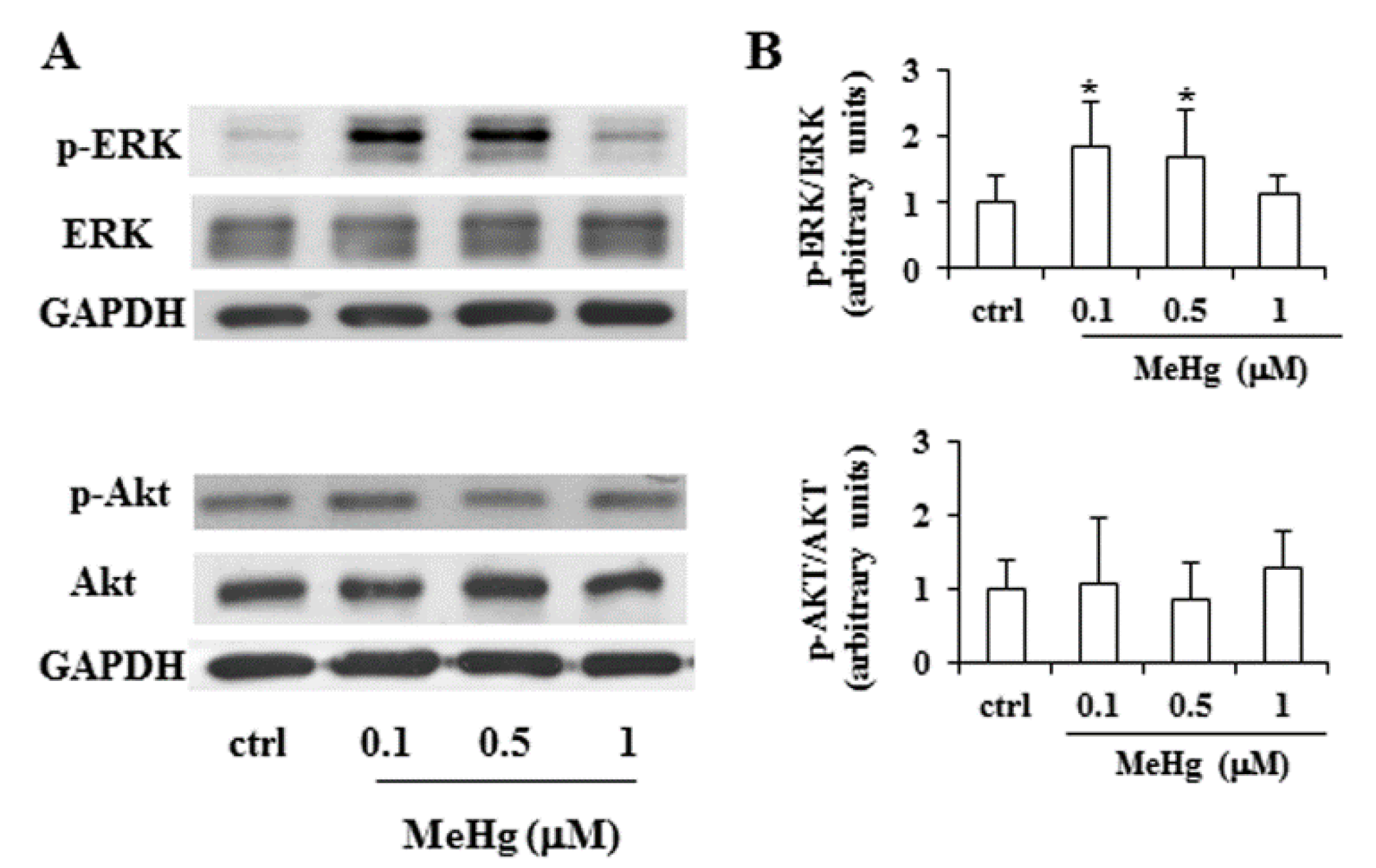 Ijms 21 01556 g003 Ijms 21 01556 g003