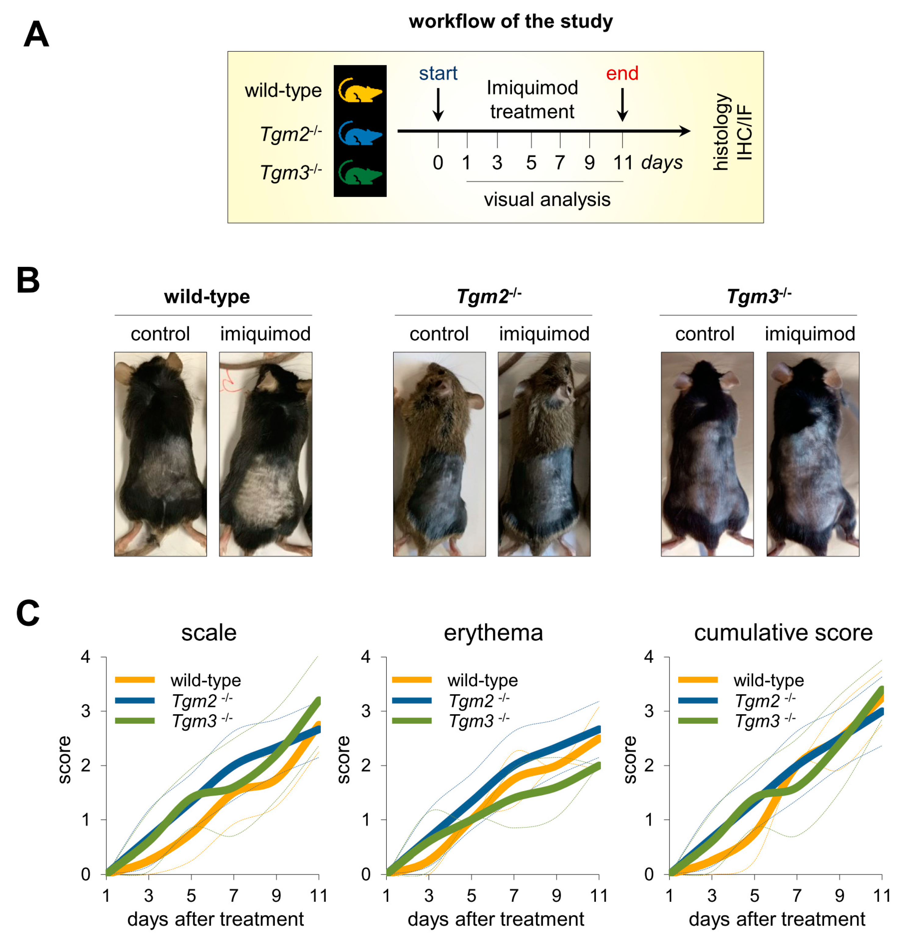 Ijms 21 01566 g002 Ijms 21 01566 g002