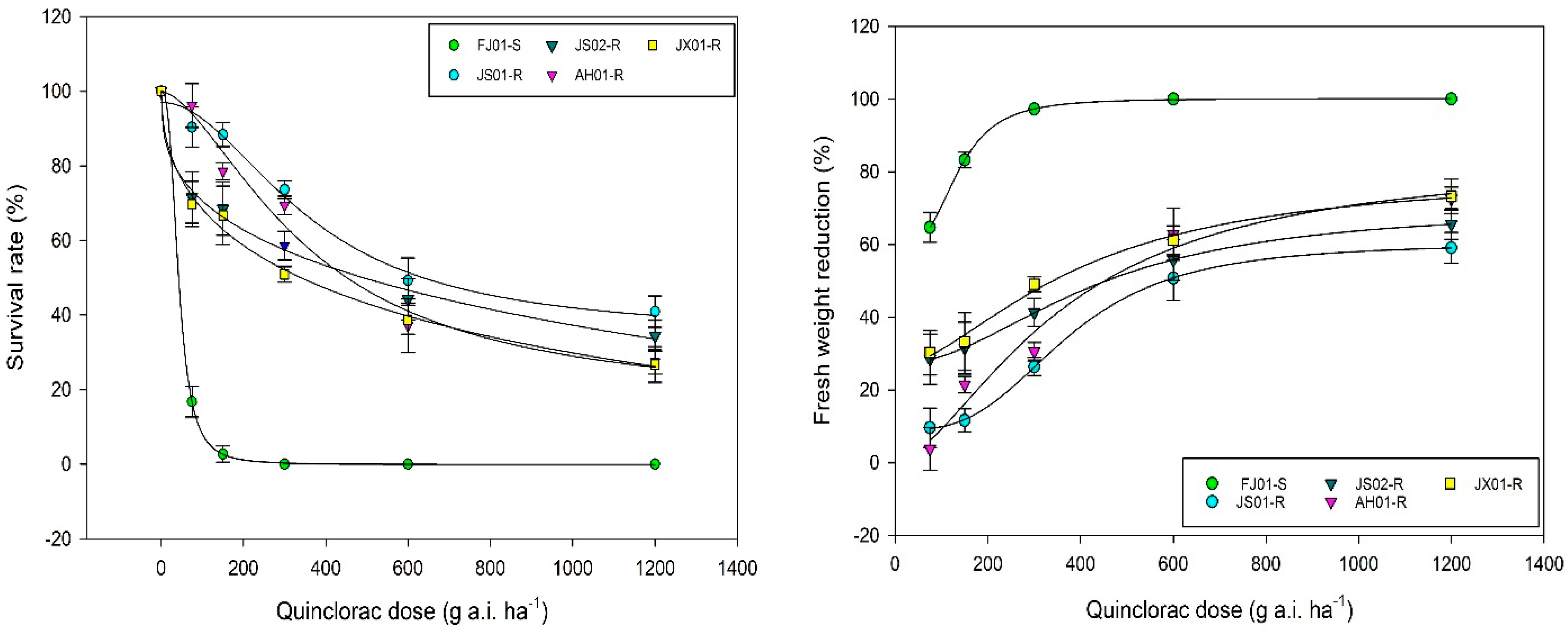 Ijms 21 01573 g001 Ijms 21 01573 g001