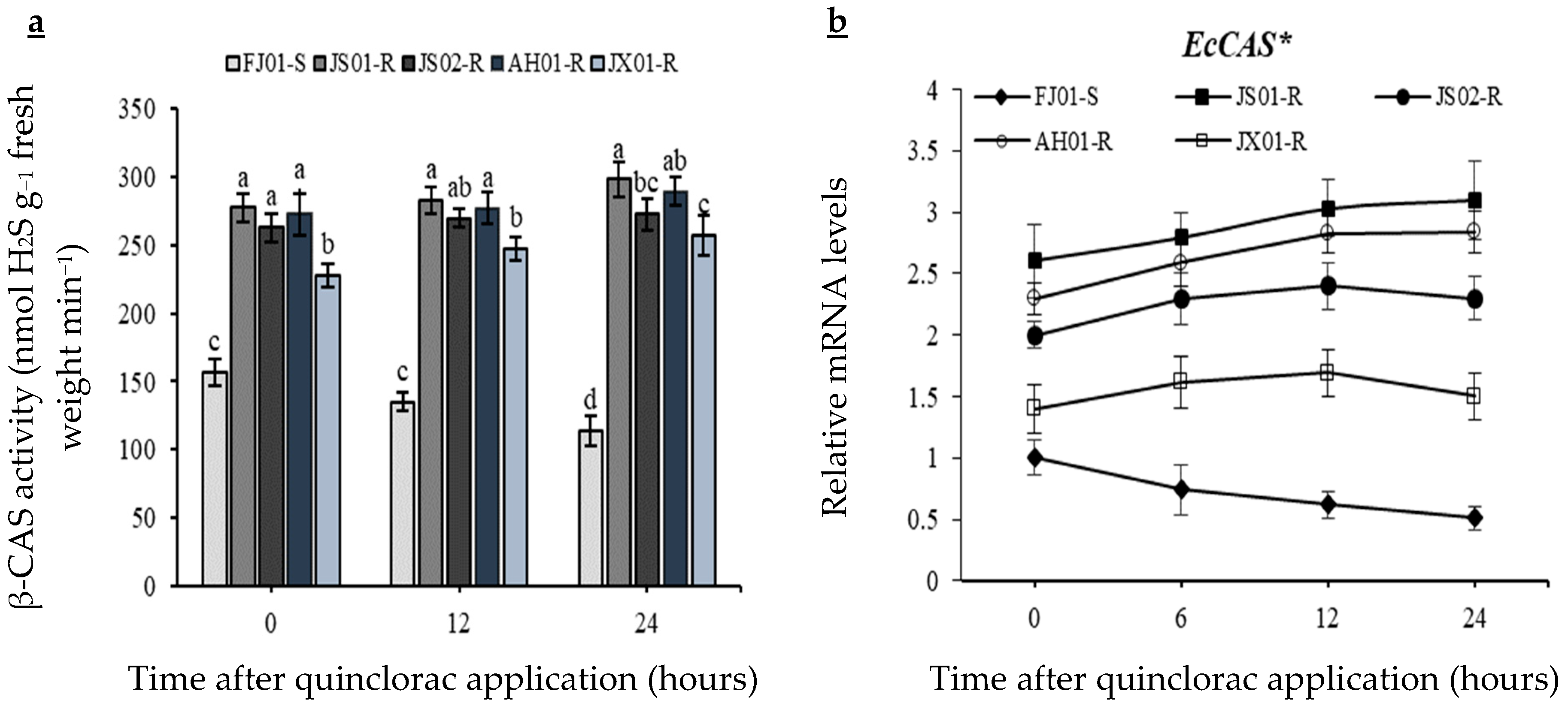Ijms 21 01573 g006 Ijms 21 01573 g006