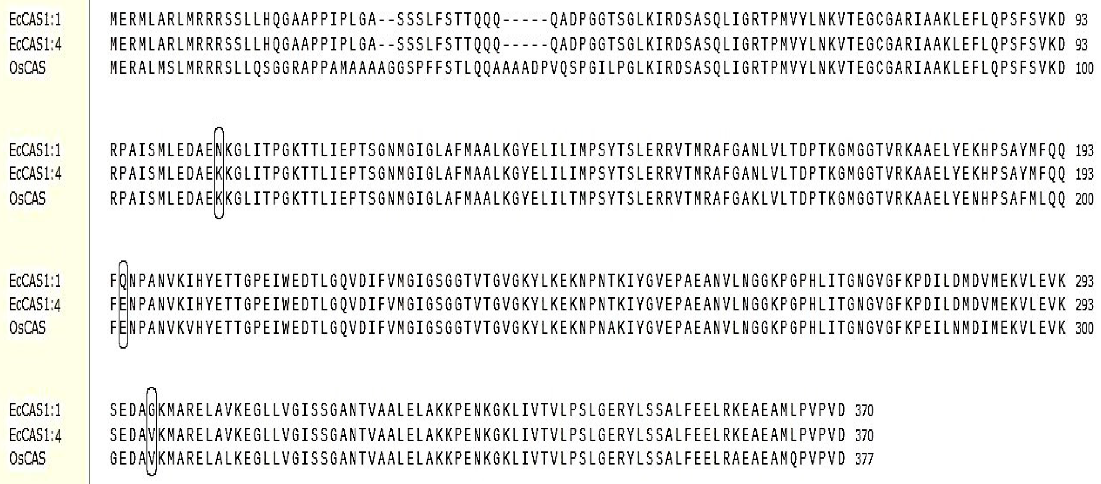 Ijms 21 01573 g007 Ijms 21 01573 g007