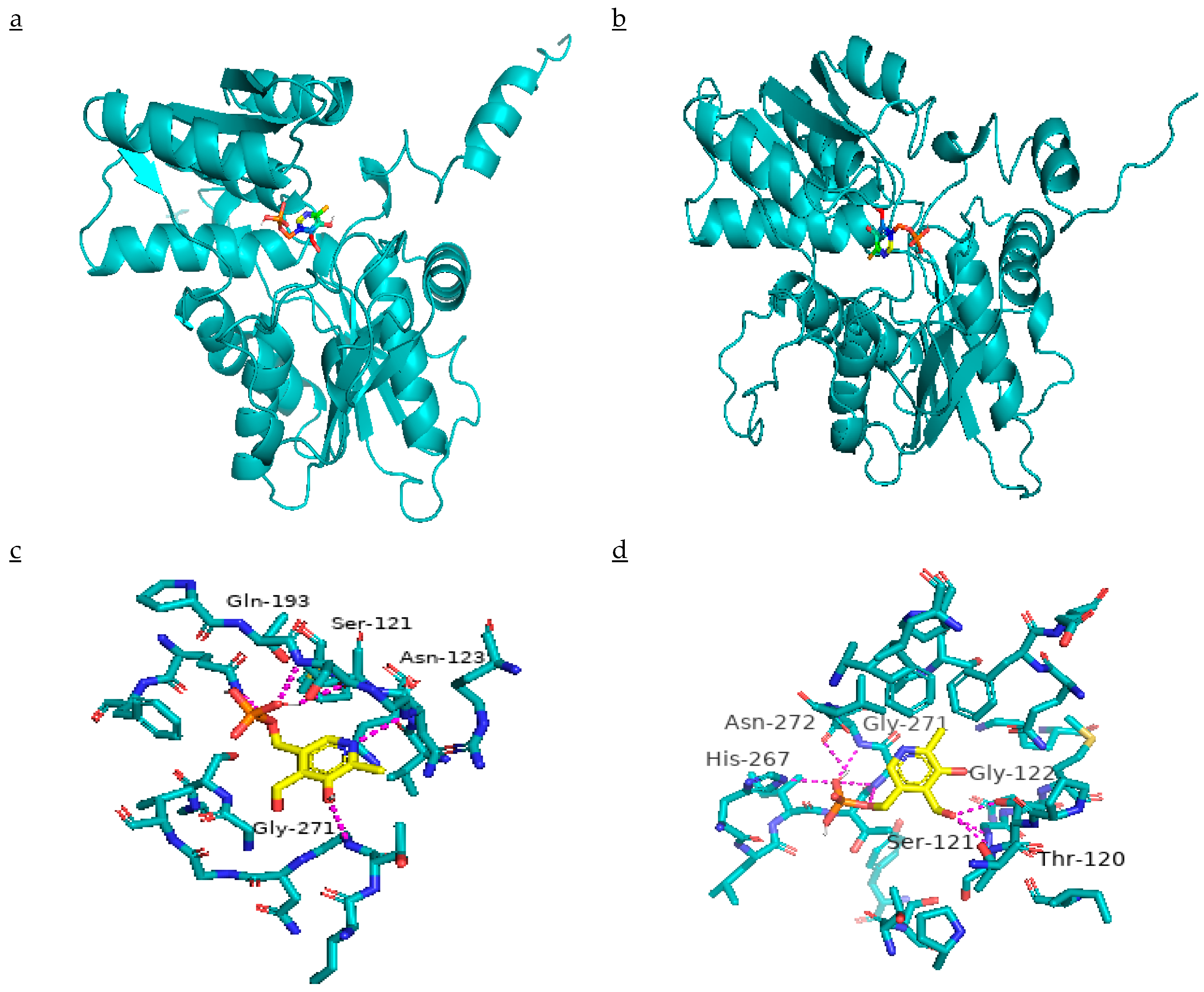 Ijms 21 01573 g008 Ijms 21 01573 g008