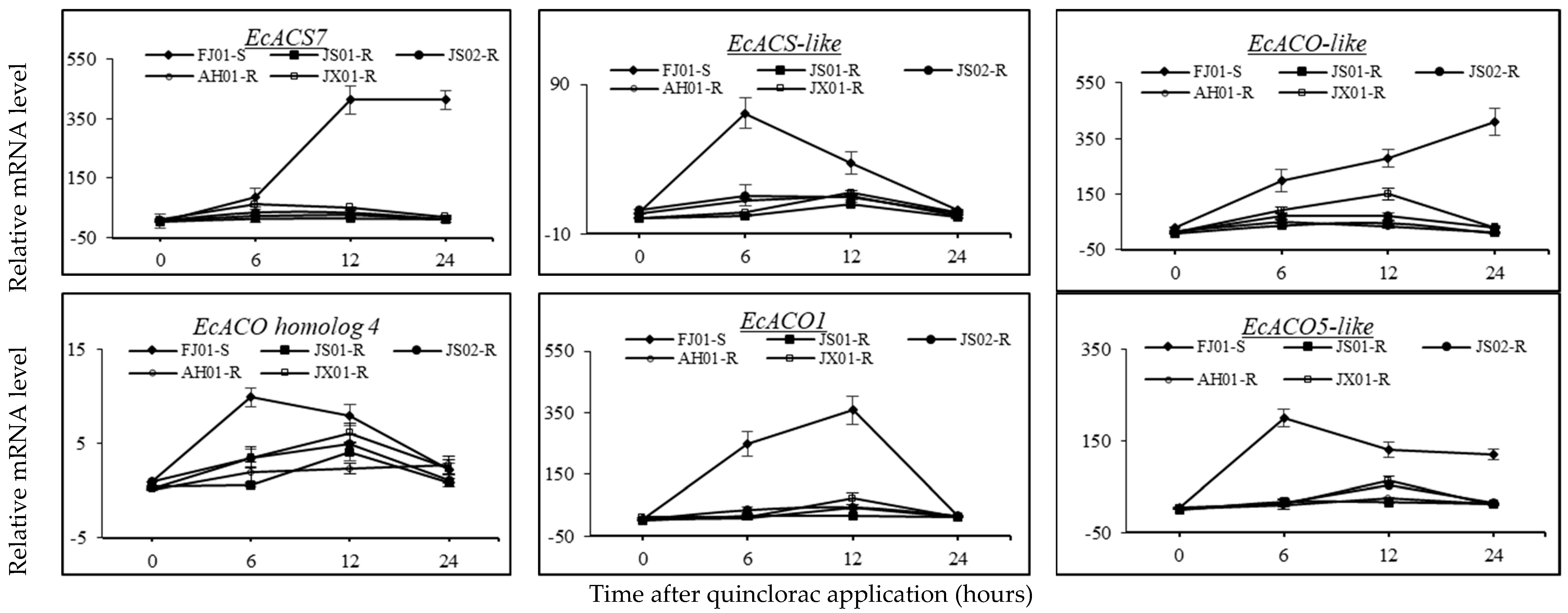 Ijms 21 01573 g009 Ijms 21 01573 g009
