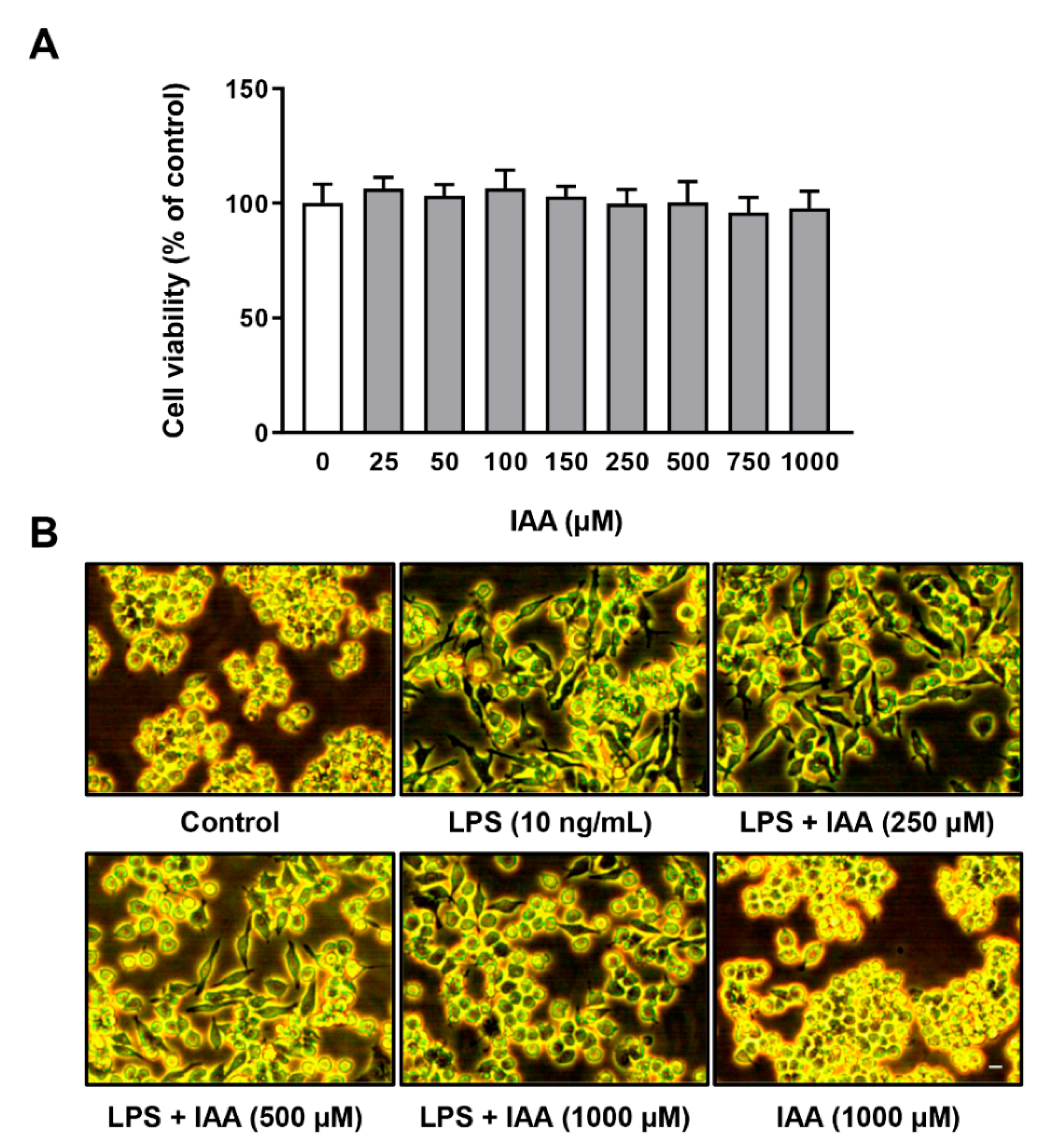 Ijms 21 01579 g001 Ijms 21 01579 g001
