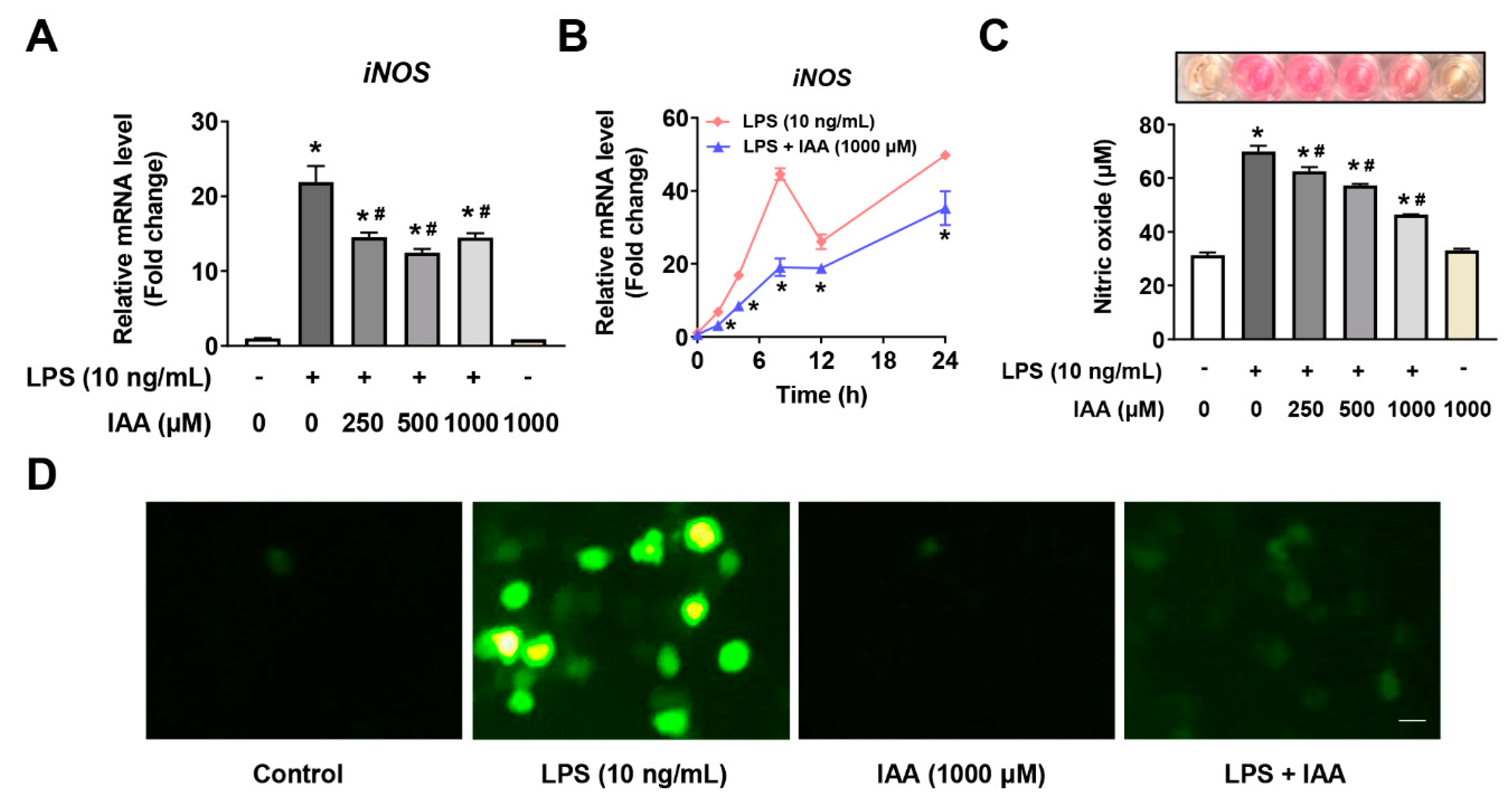 Ijms 21 01579 g004 Ijms 21 01579 g004