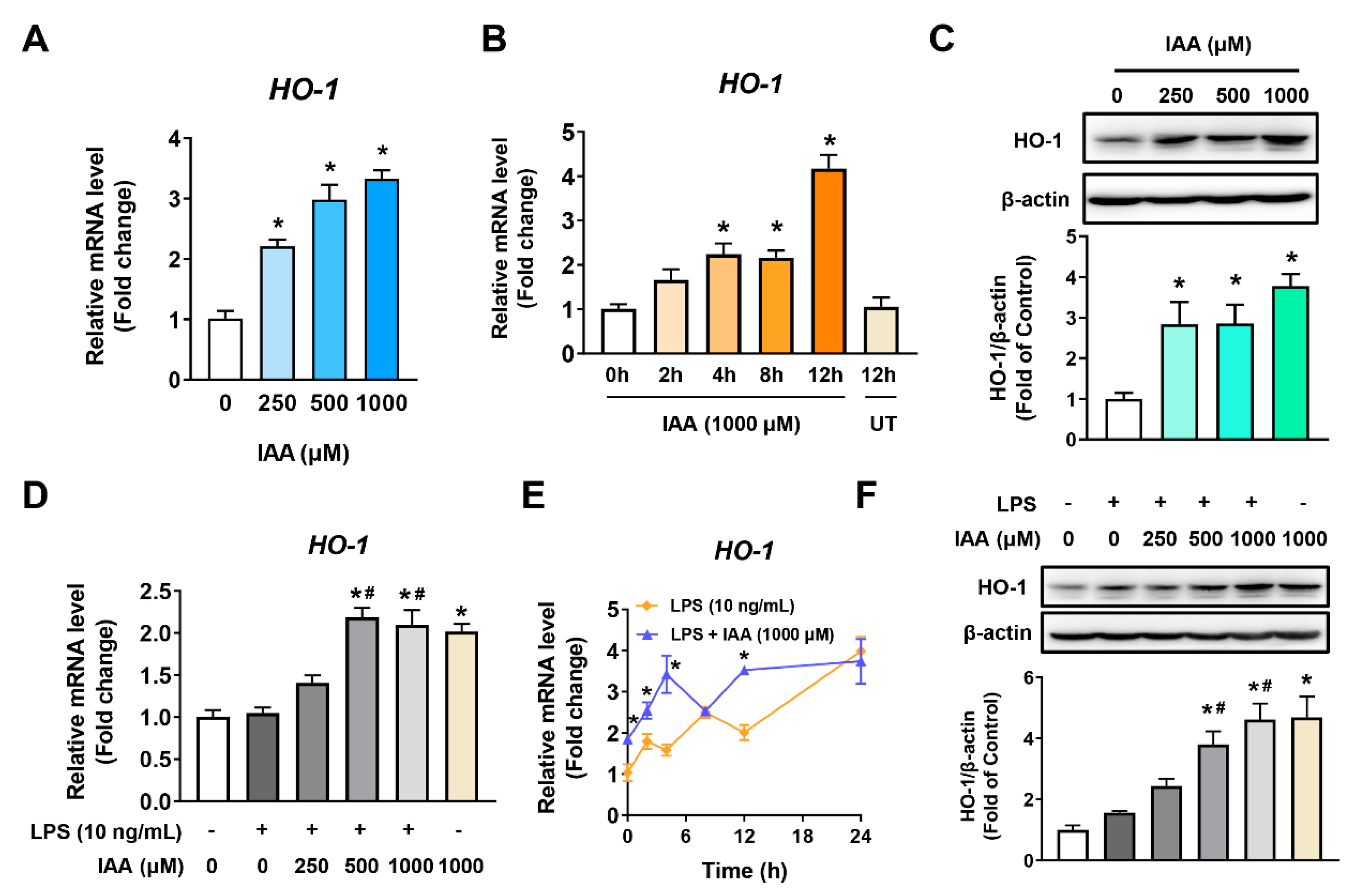 Ijms 21 01579 g005 Ijms 21 01579 g005