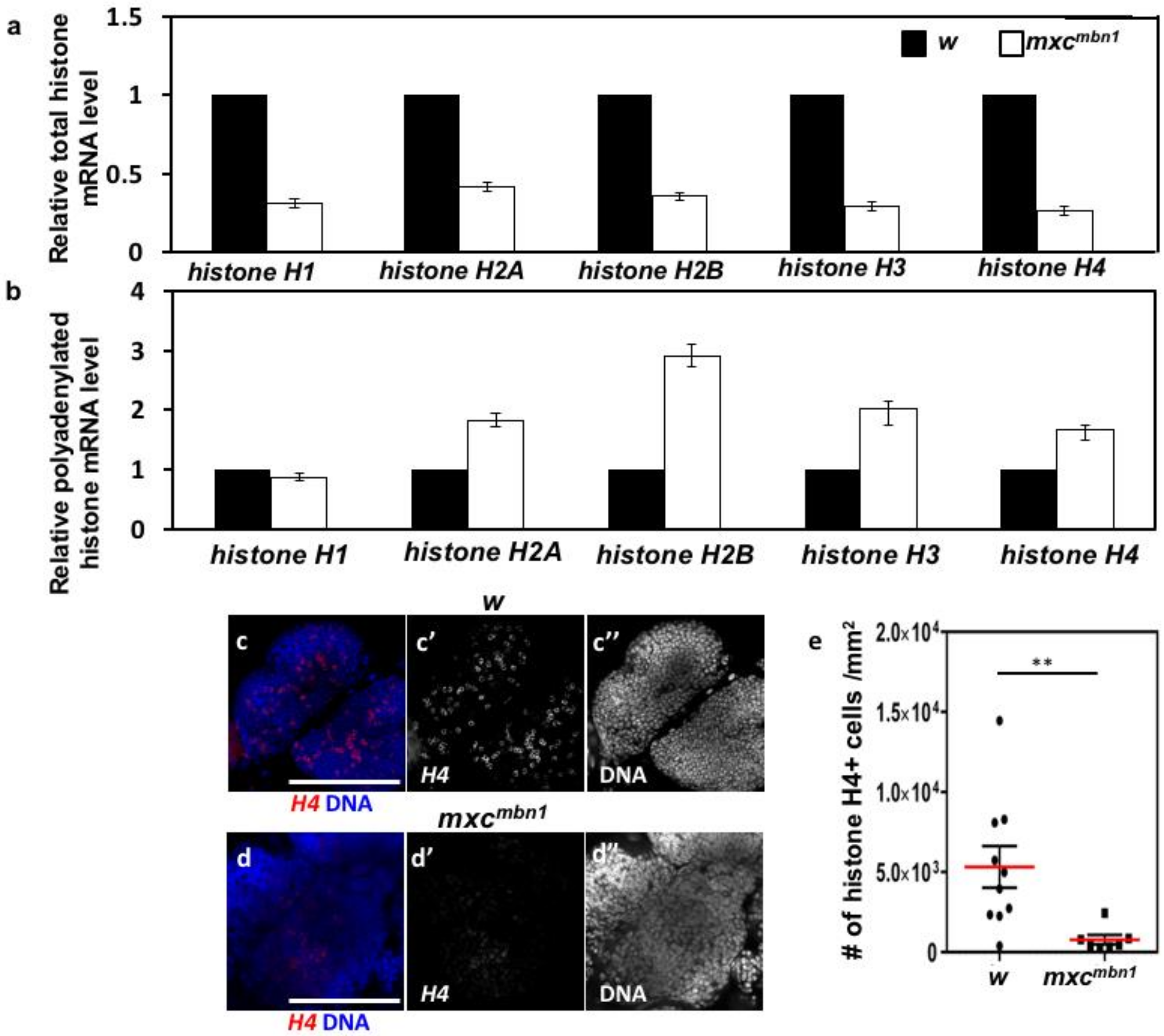 Ijms 21 01586 g005 Ijms 21 01586 g005