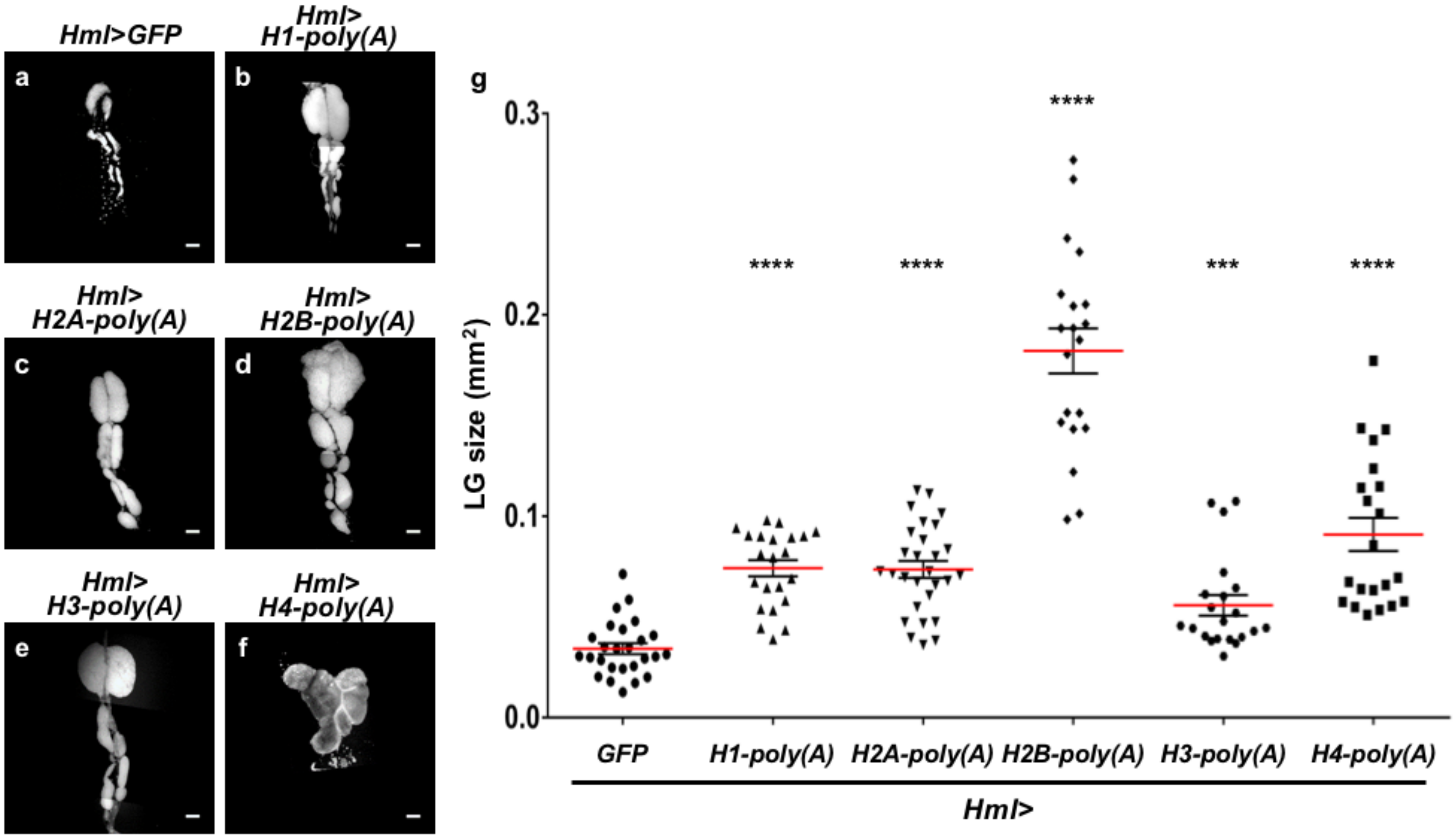 Ijms 21 01586 g006 Ijms 21 01586 g006