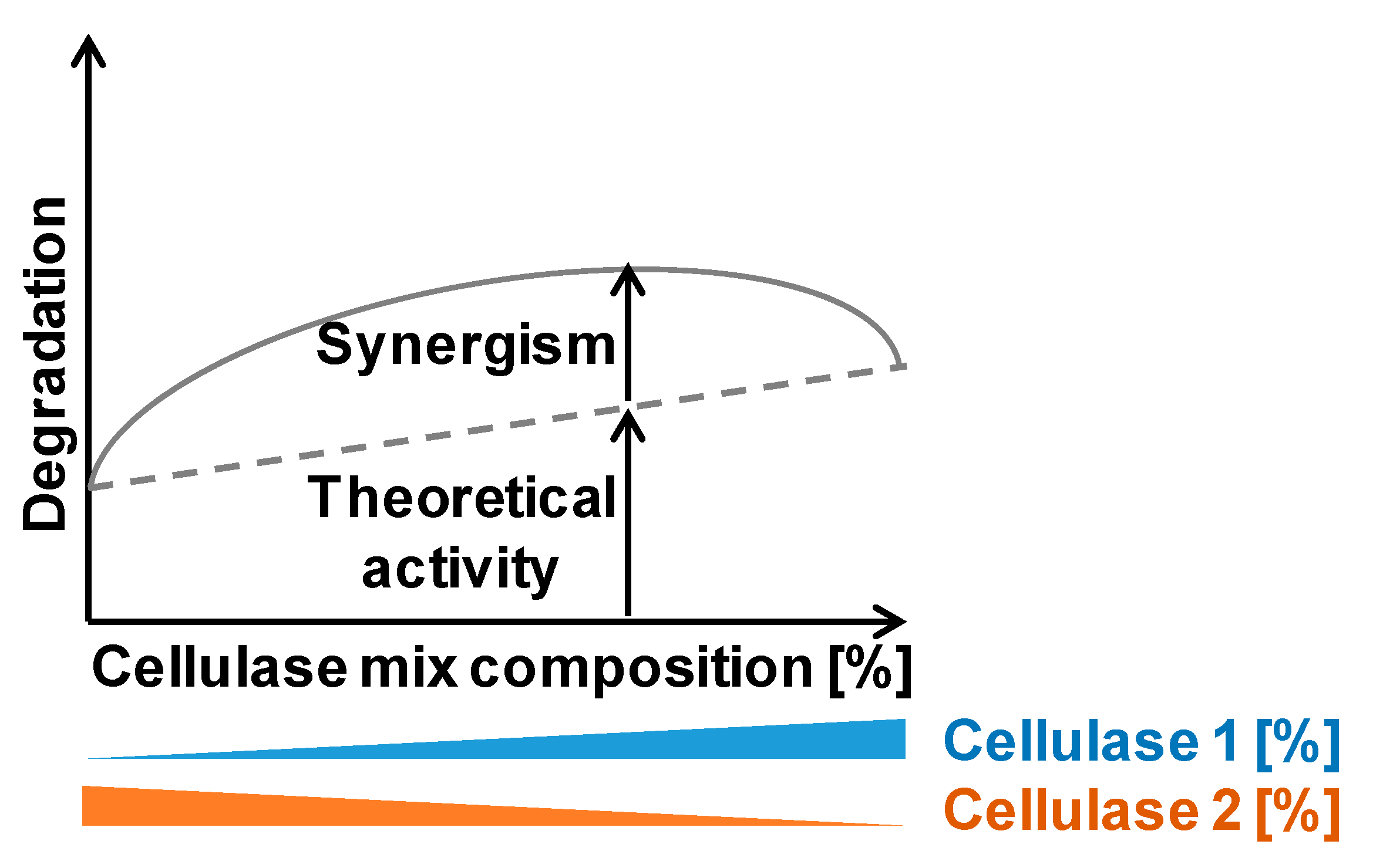 Ijms 21 01589 g002 Ijms 21 01589 g002
