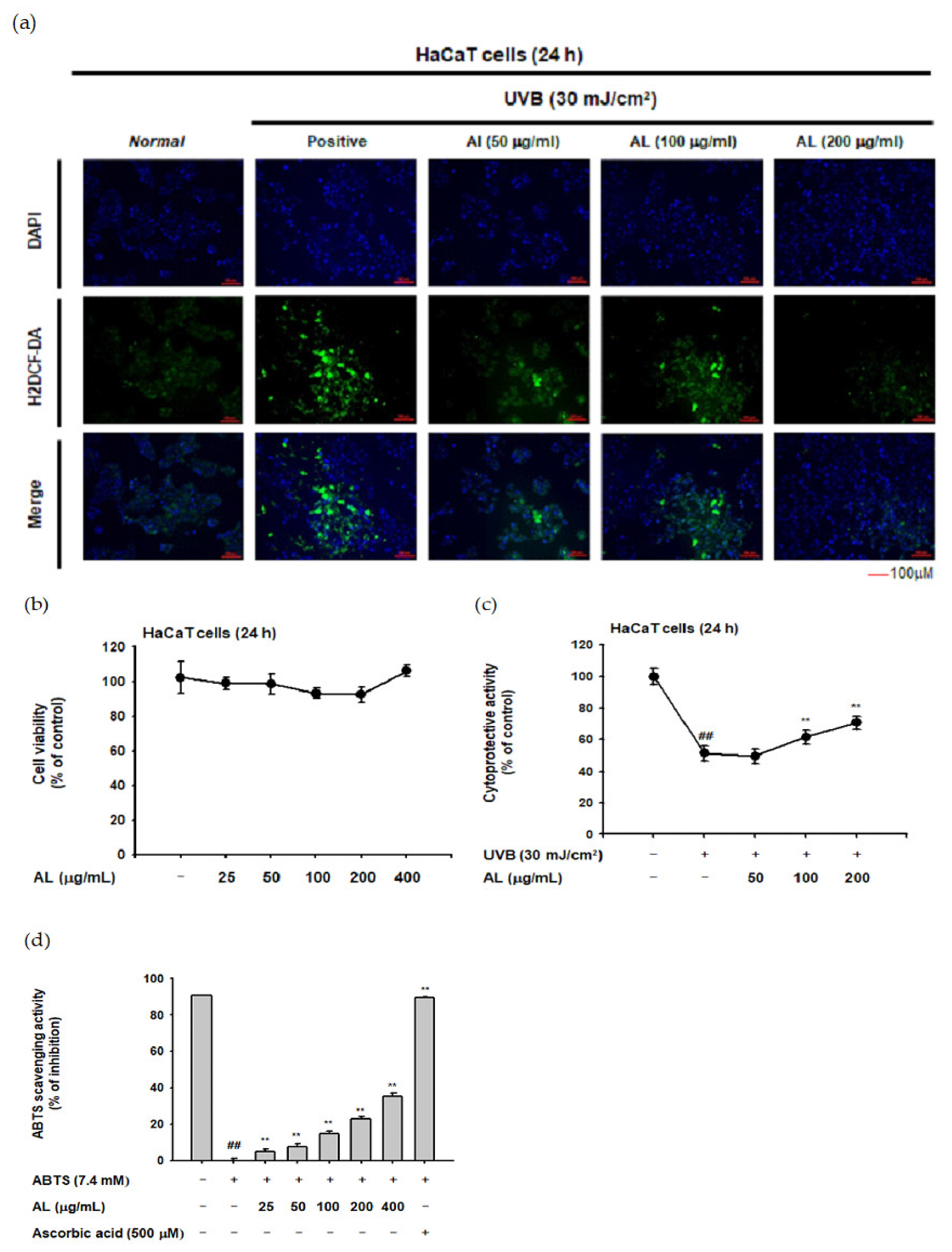 IJMS Free Full Text Antiwrinkle and Antimelanogenesis Effects