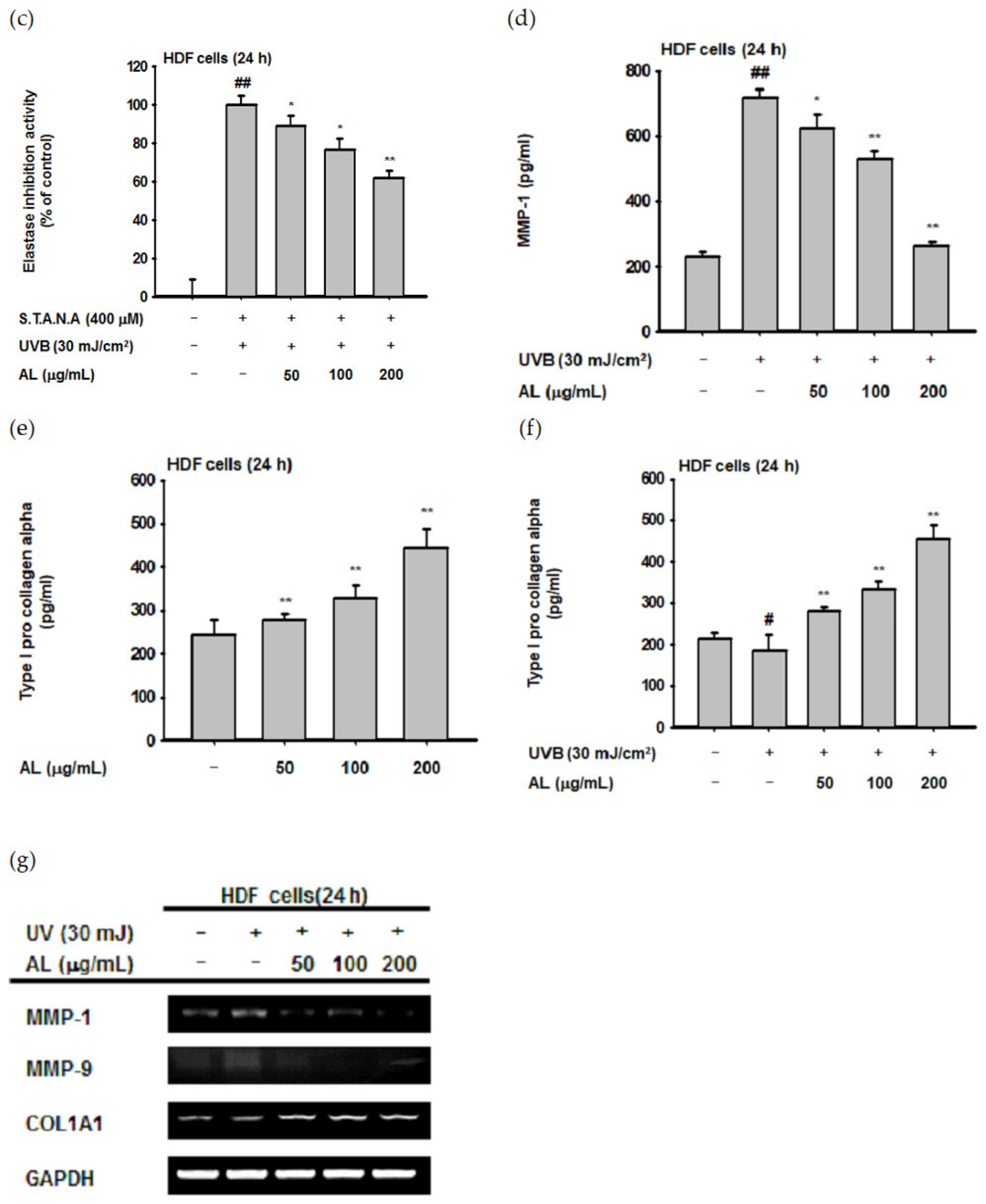 Ijms 21 01620 g003b Ijms 21 01620 g003b