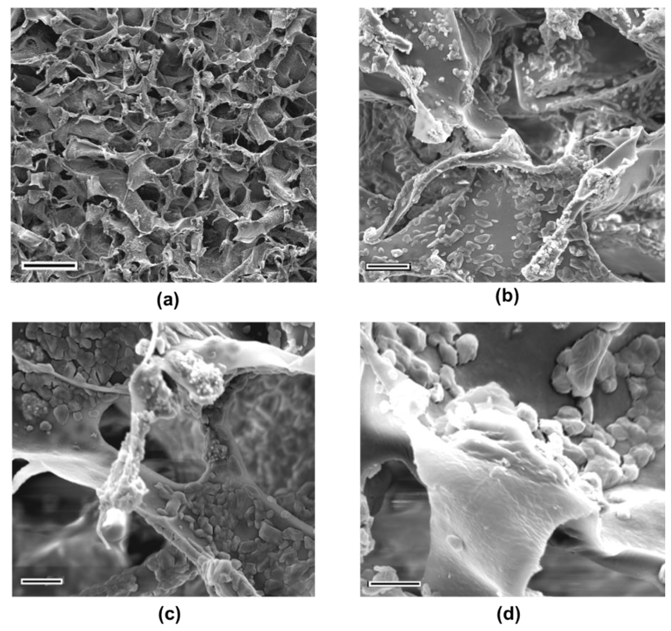 Ijms 21 01633 g008 Ijms 21 01633 g008