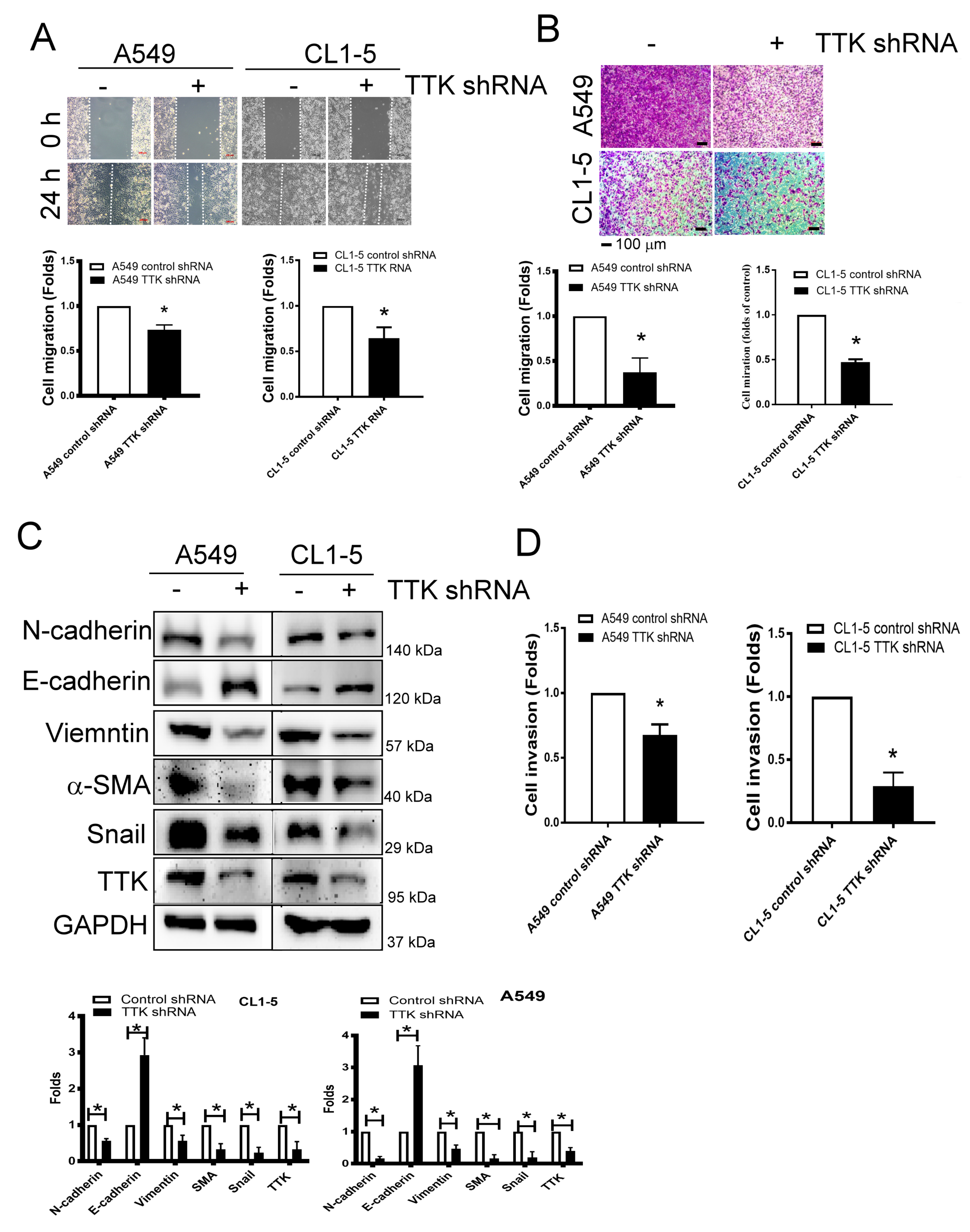 Ijms 21 01640 g003 Ijms 21 01640 g003