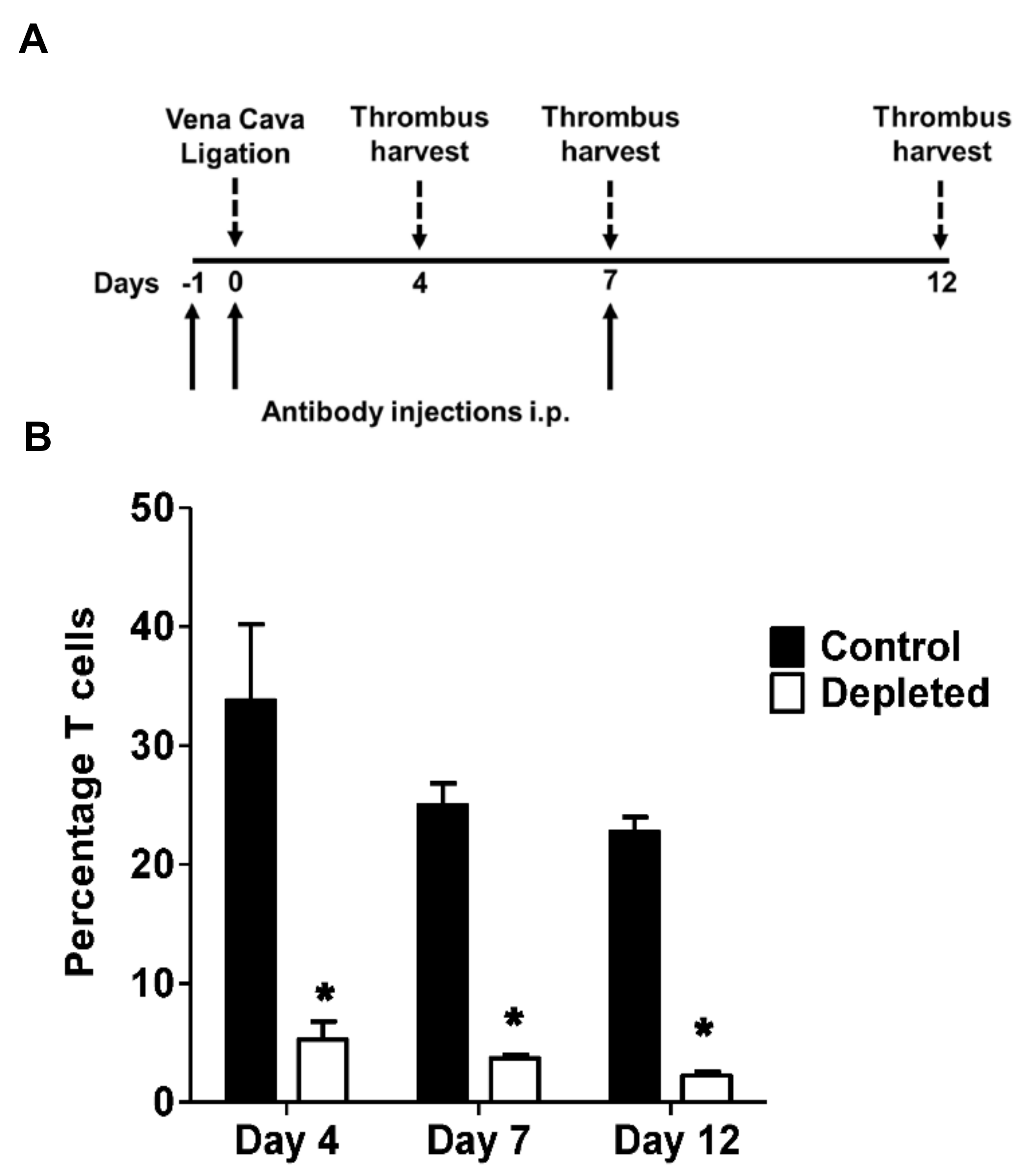 IJMS | Free Full-Text | Depletion Of CD4 And CD8 Positive T Cells ...