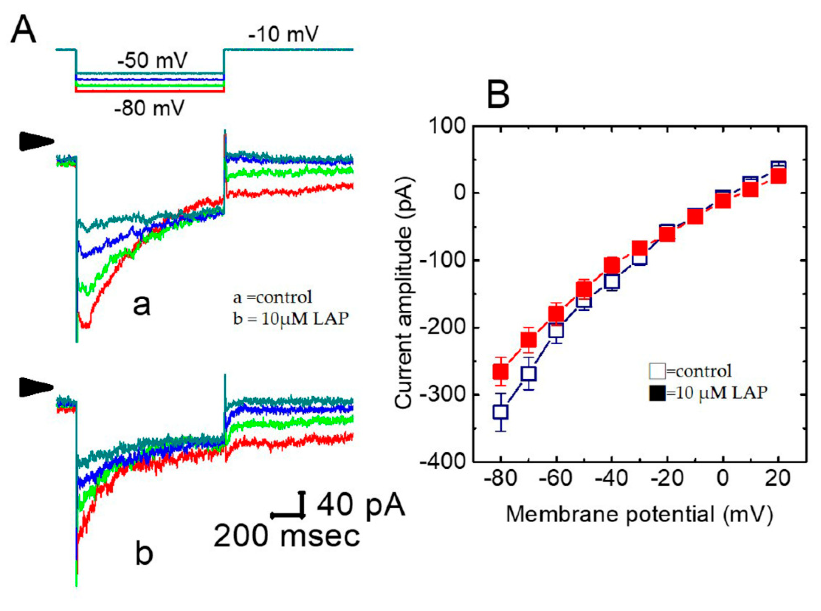 Ijms 21 01672 g003 Ijms 21 01672 g003