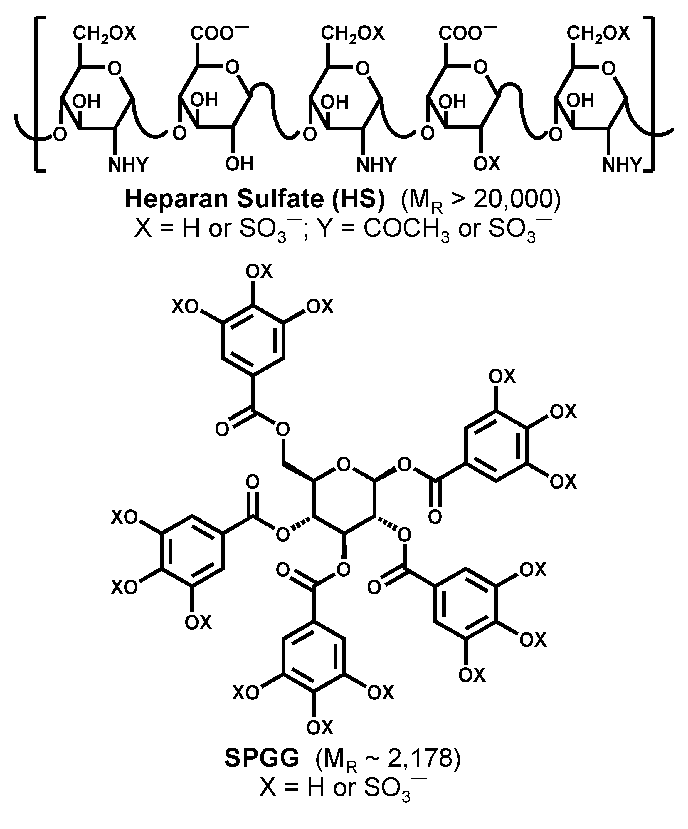 Ijms 21 01676 g001 Ijms 21 01676 g001