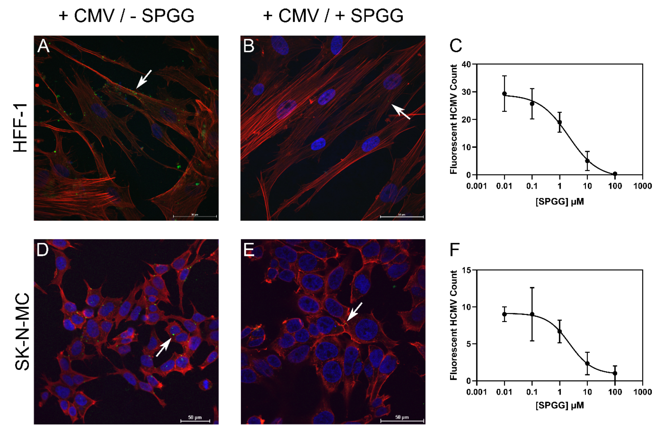 Ijms 21 01676 g003 Ijms 21 01676 g003