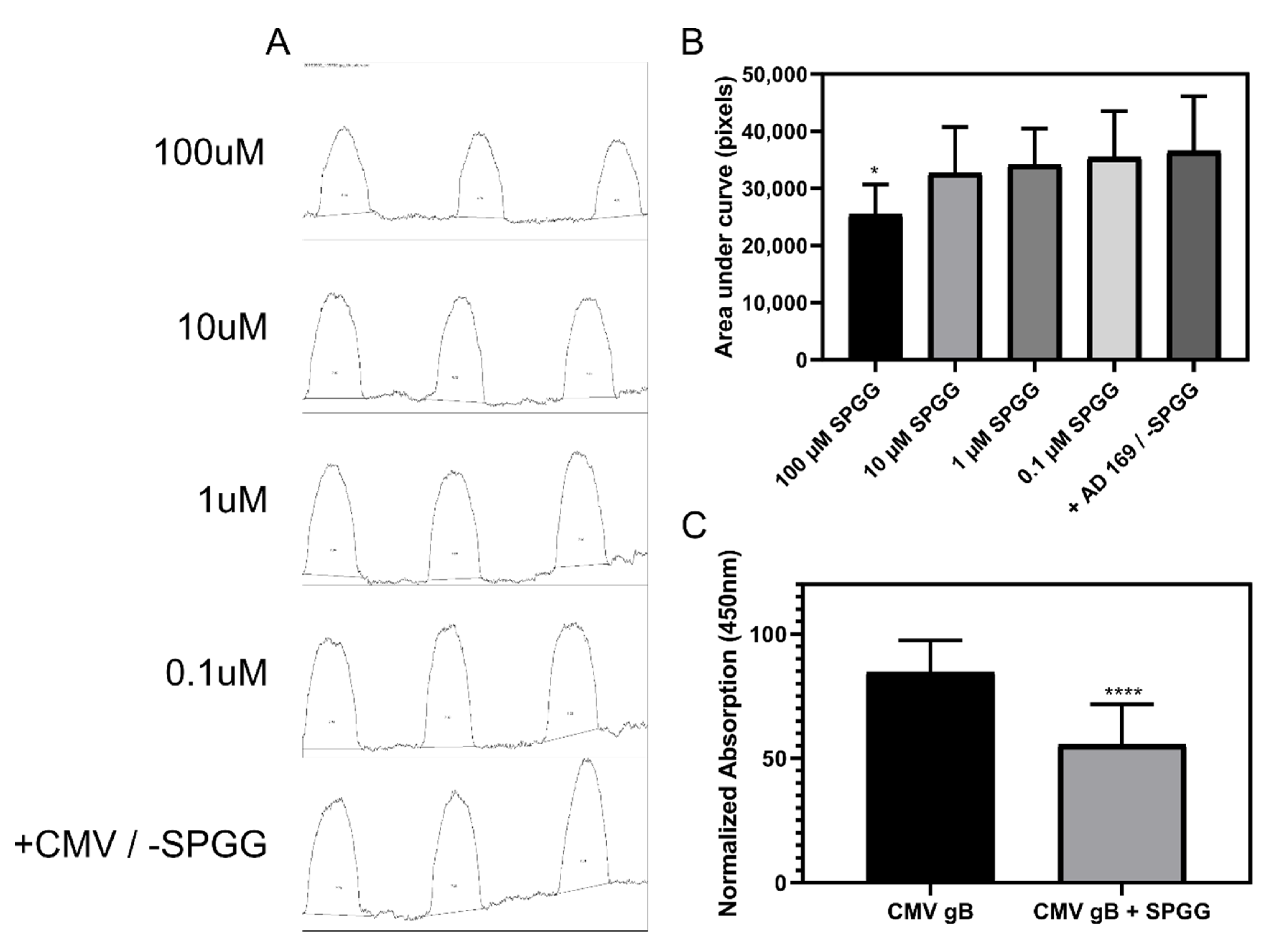 Ijms 21 01676 g006 Ijms 21 01676 g006