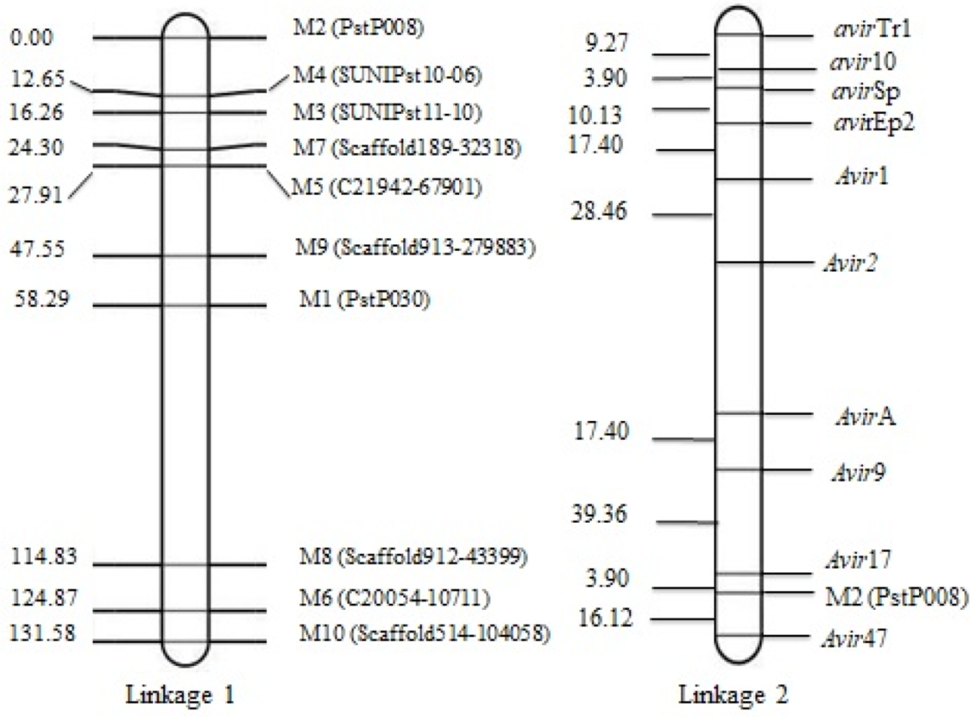Ijms 21 01685 g002 Ijms 21 01685 g002