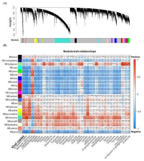 Ijms Free Full Text Co Expression Network Analysis Of Spleen Transcriptome In Rock Bream Oplegnathus Fasciatus Naturally Infected With Rock Bream Iridovirus Rbiv Html