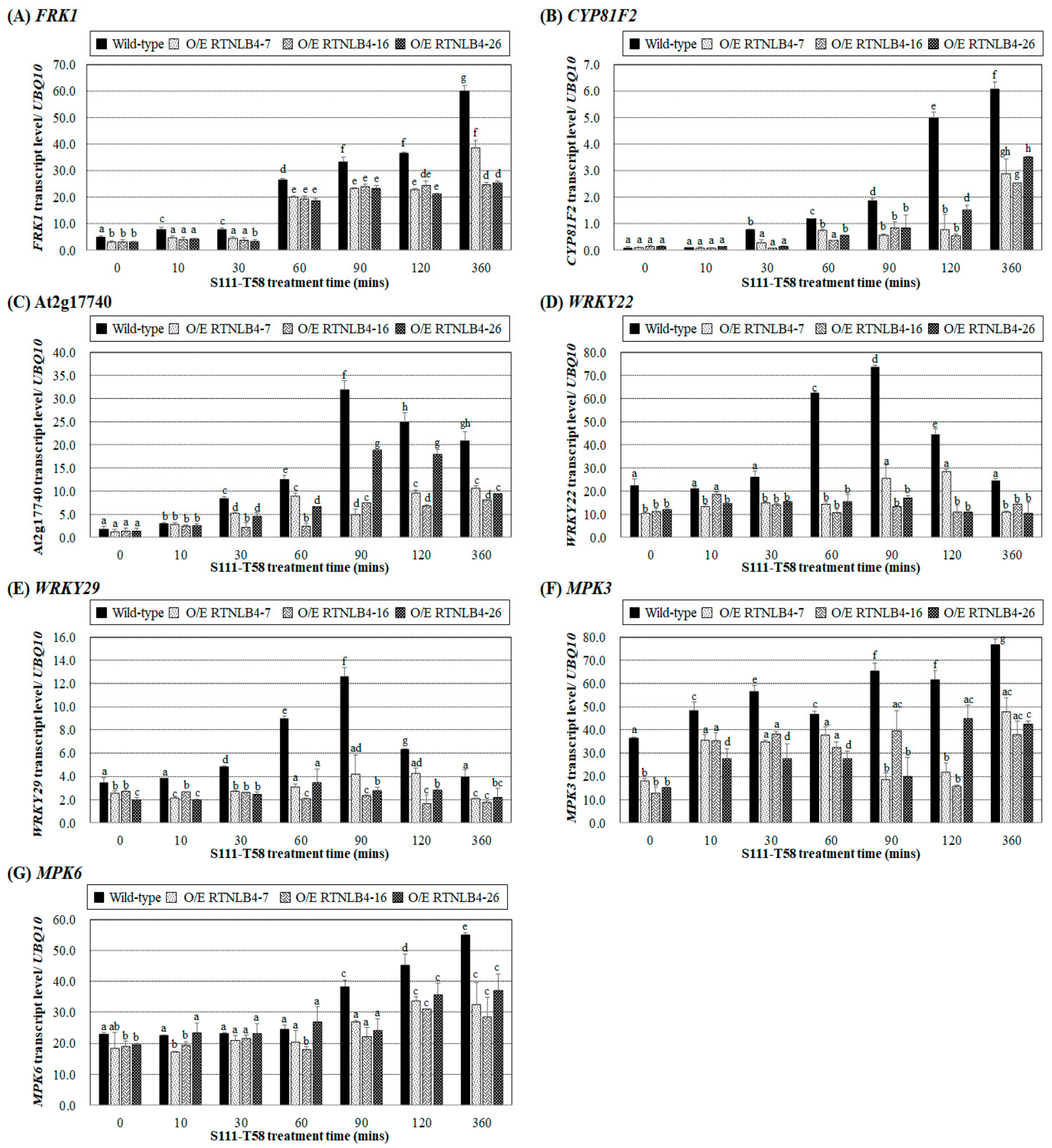 Ijms 21 01722 g006 Ijms 21 01722 g006