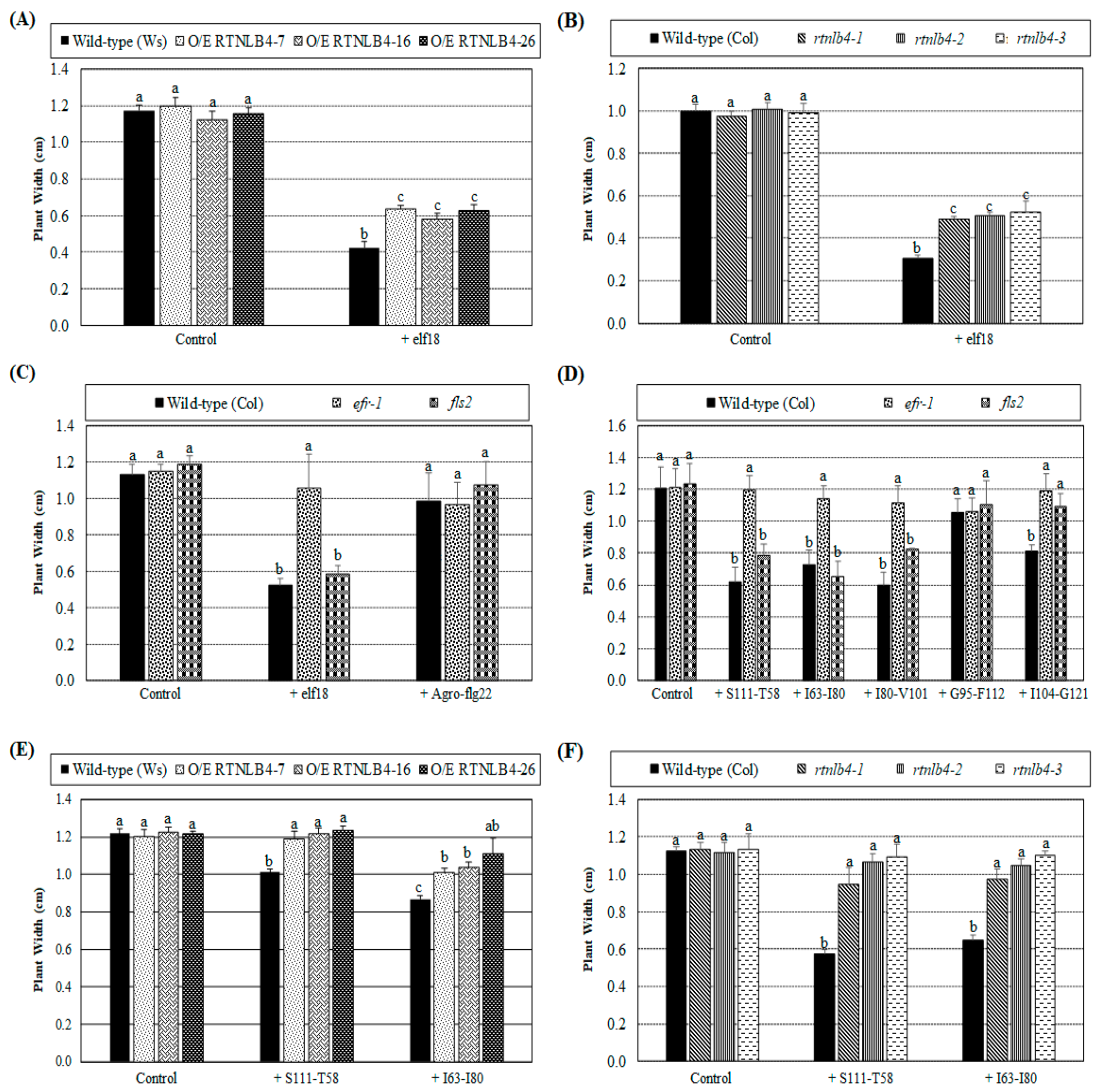 Ijms 21 01722 g007 Ijms 21 01722 g007