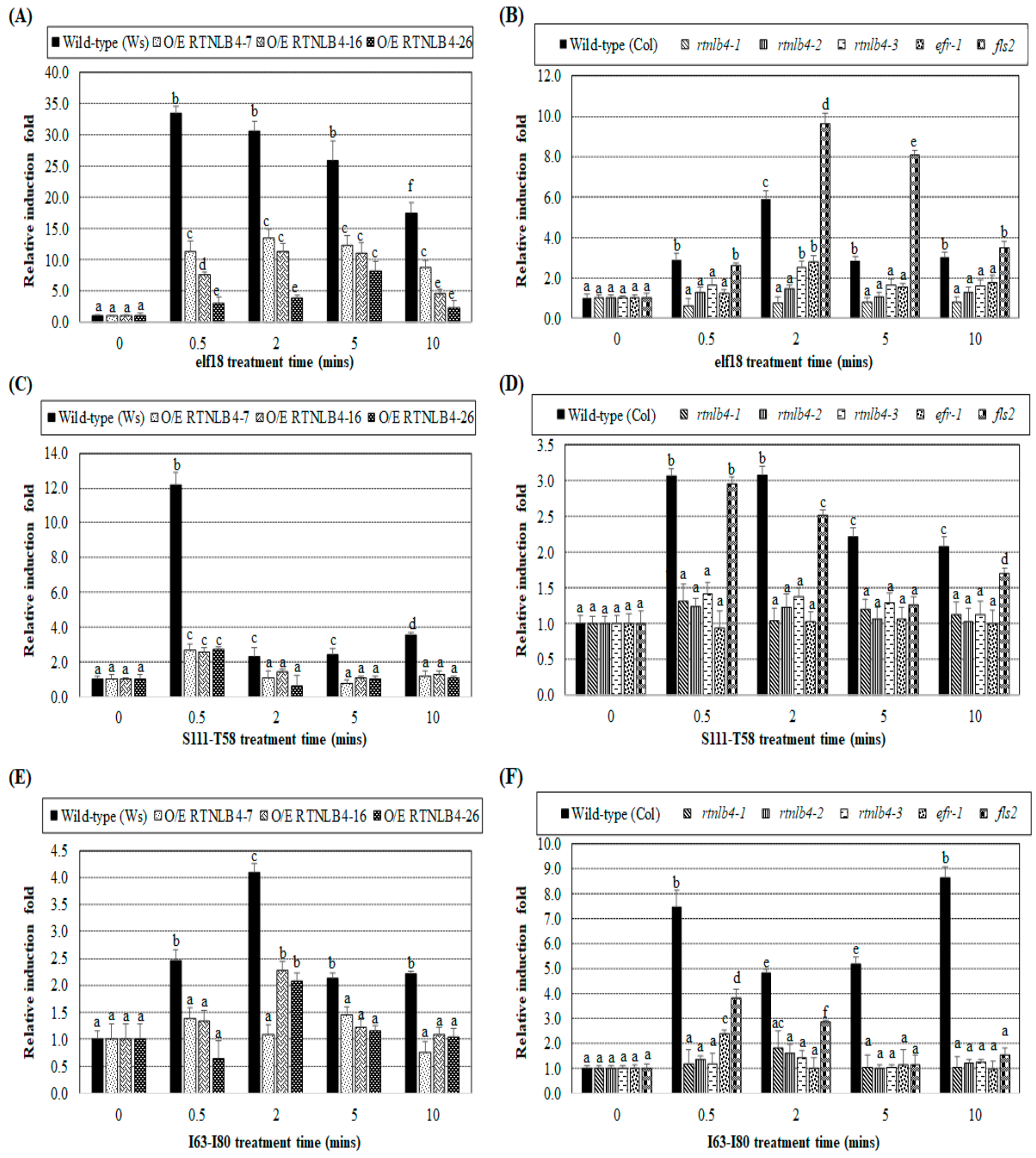 Ijms 21 01722 g008 Ijms 21 01722 g008