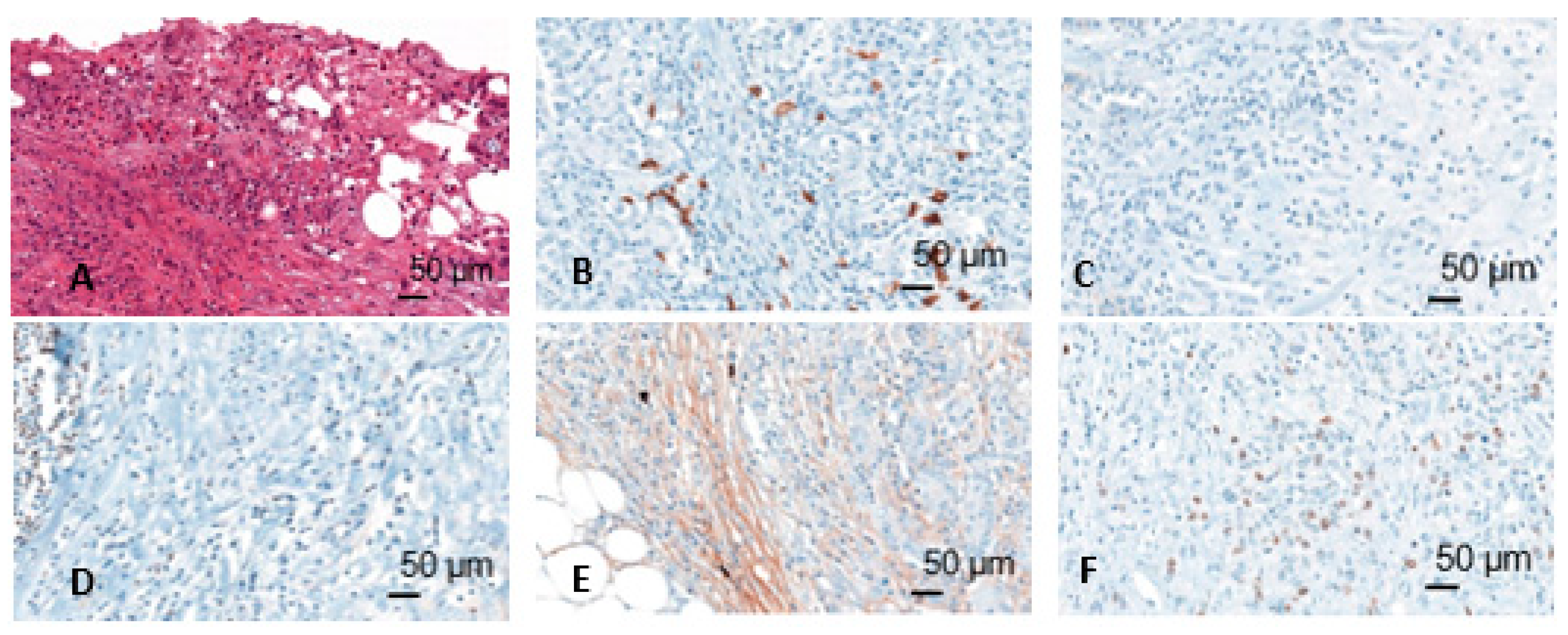 Ijms 21 01779 g002 Ijms 21 01779 g002