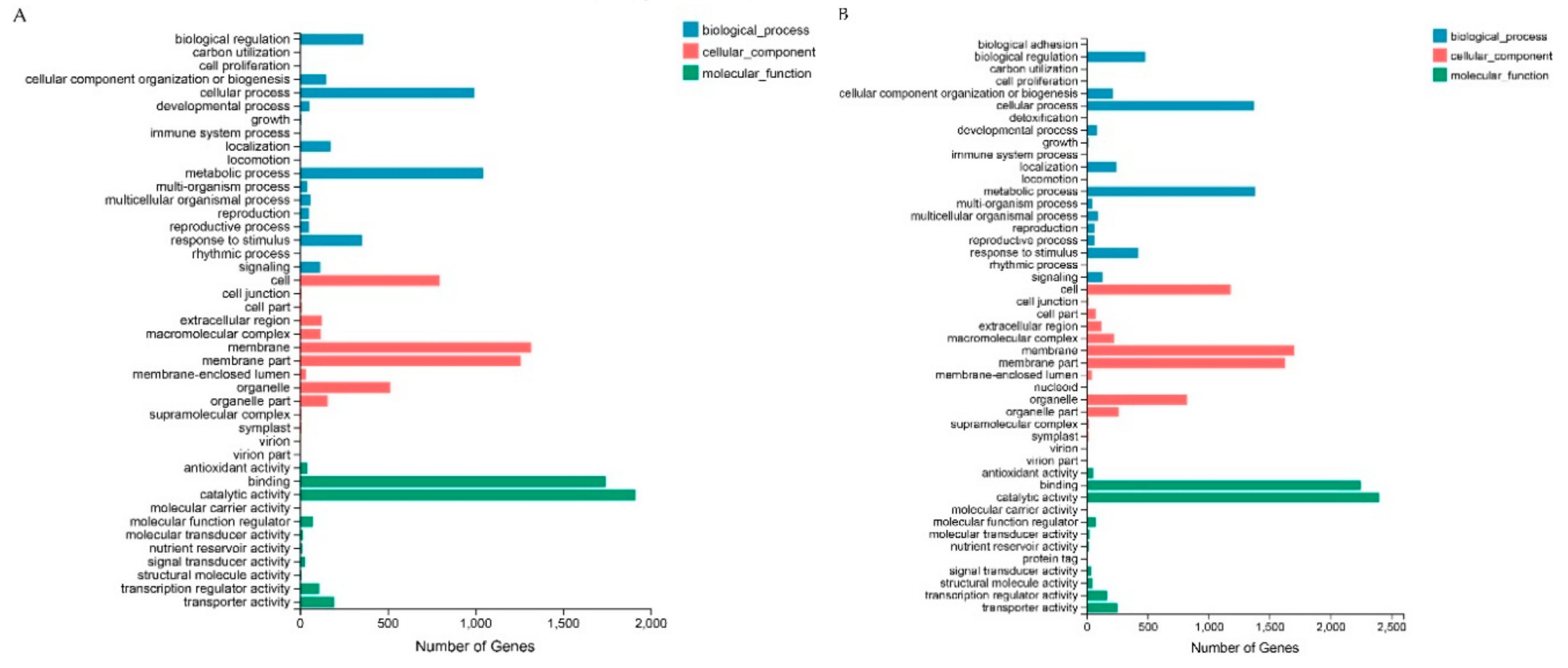 Ijms 21 01789 g003 Ijms 21 01789 g003