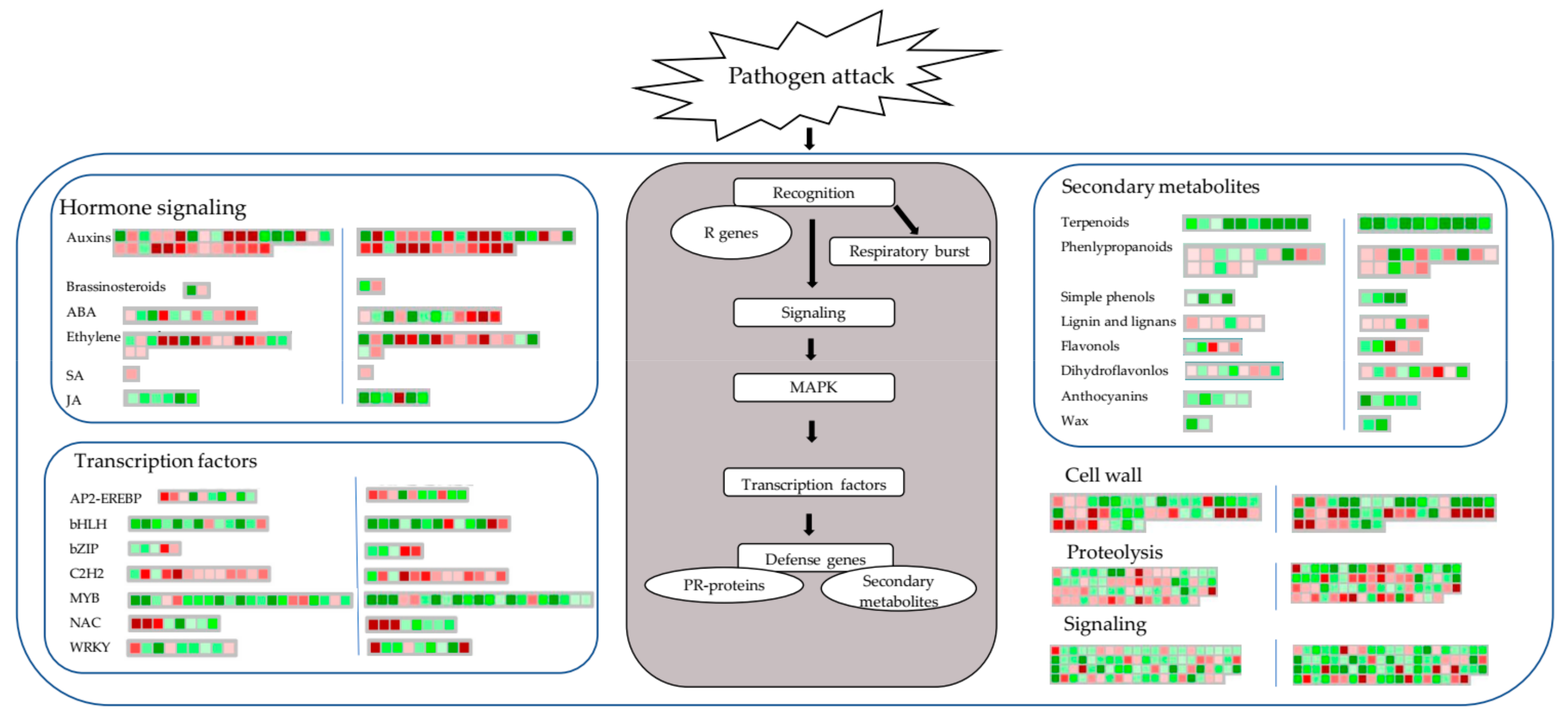 Ijms 21 01789 g005 Ijms 21 01789 g005
