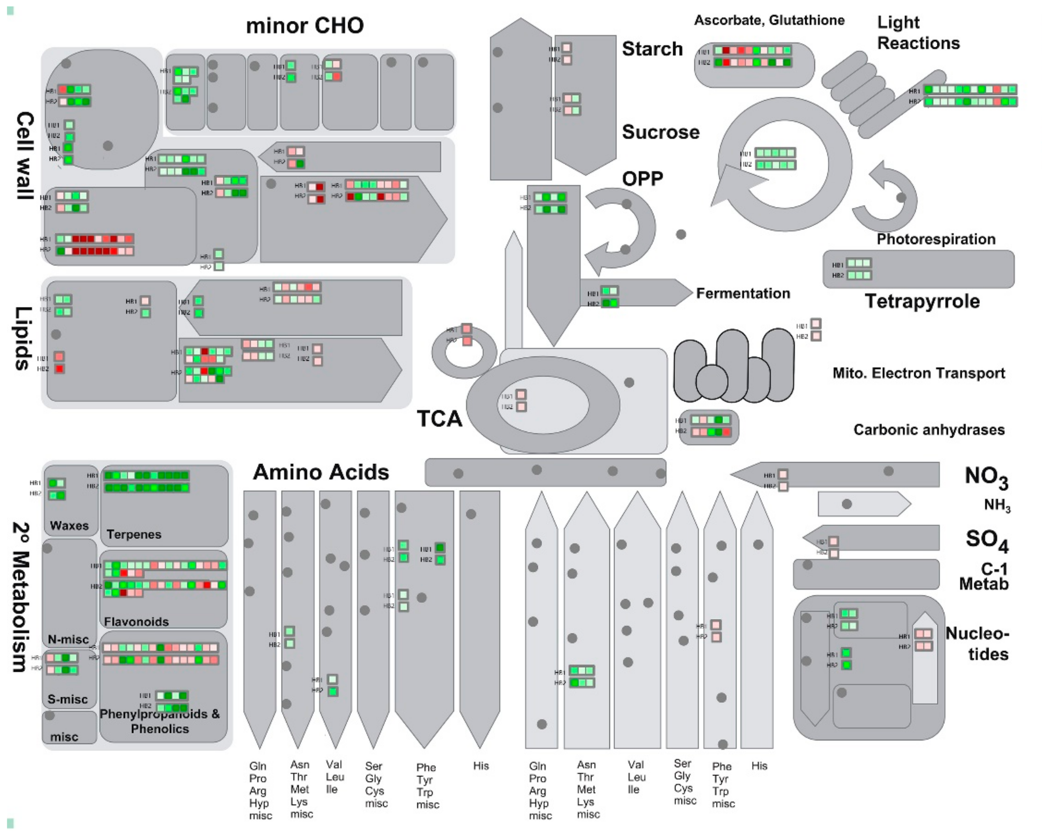 Ijms 21 01789 g006 Ijms 21 01789 g006