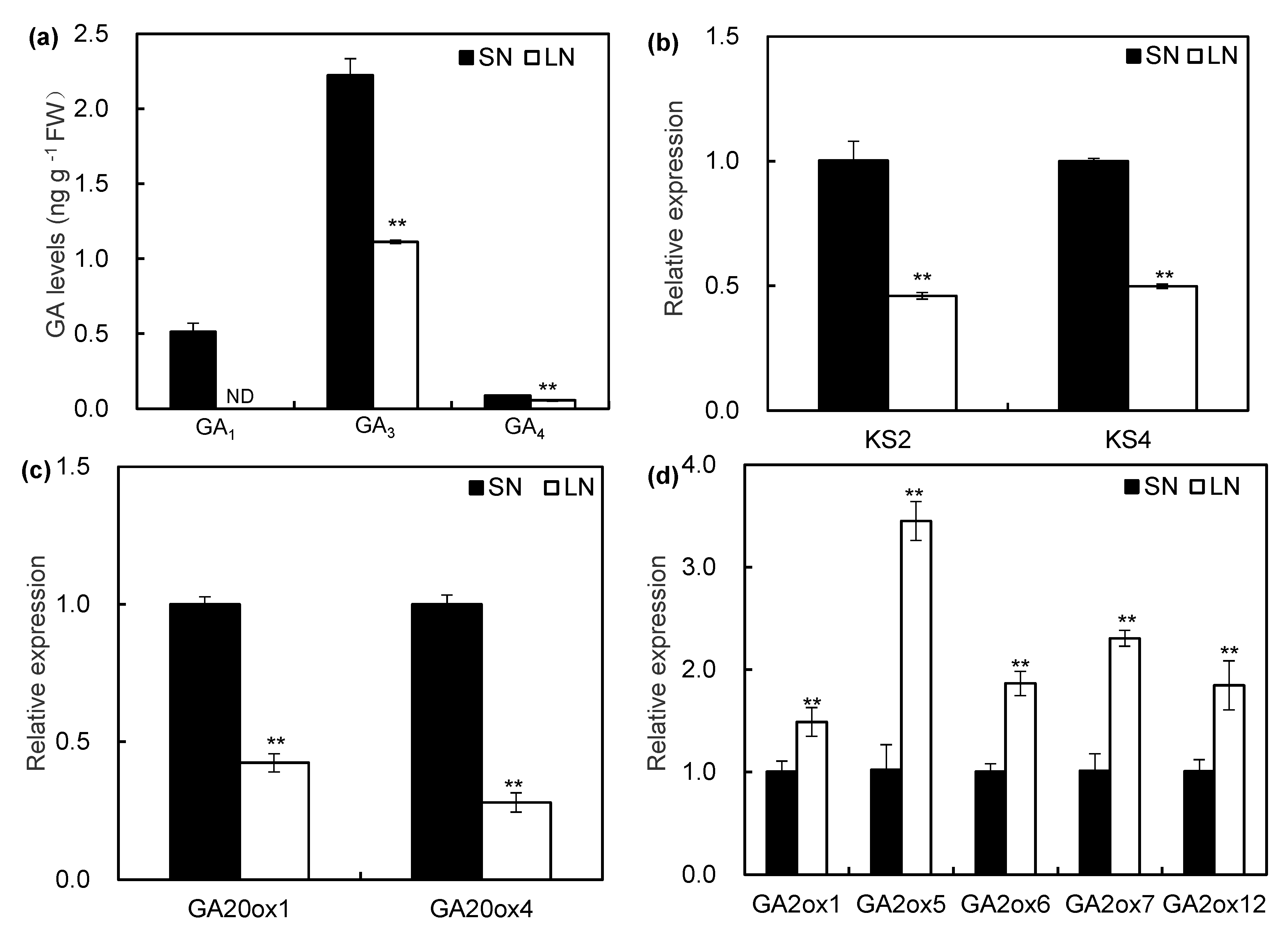 Ijms 21 01824 g003 Ijms 21 01824 g003