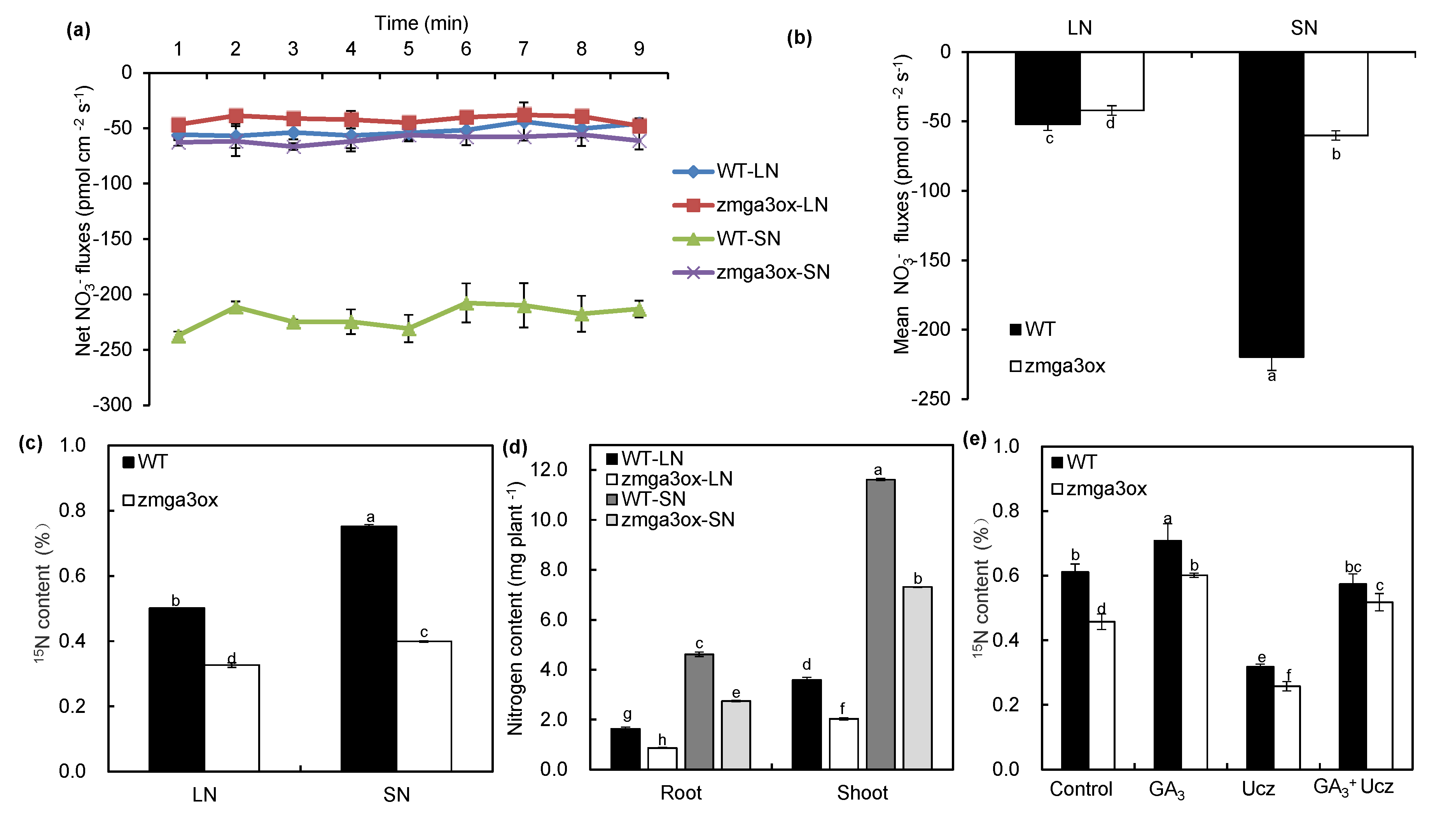 Ijms Free Full Text The Role Of Gibberellins In Regulation Of Nitrogen Uptake And Physiological Traits In Maize Responding To Nitrogen Availability Html