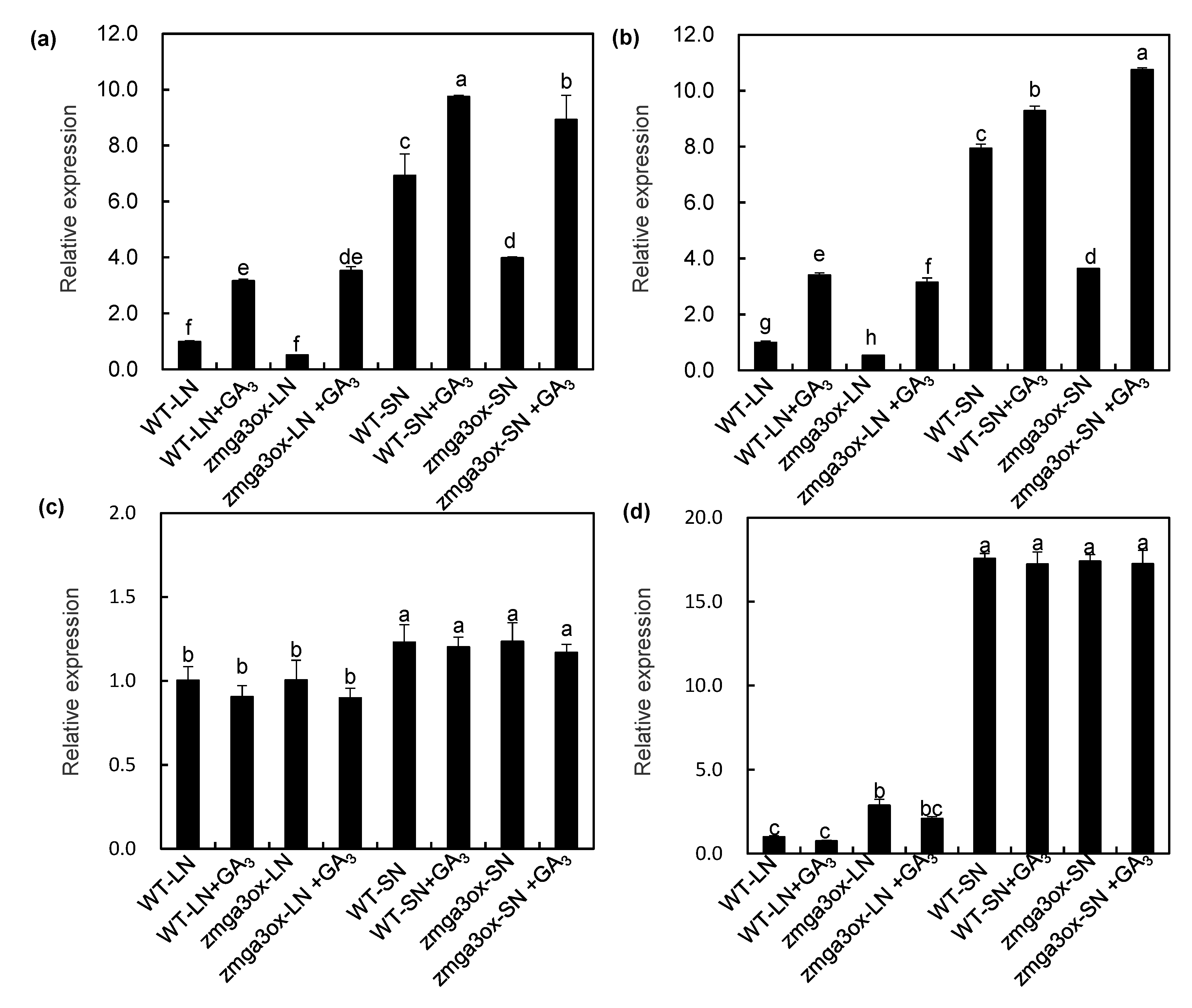 Ijms 21 01824 g005 Ijms 21 01824 g005